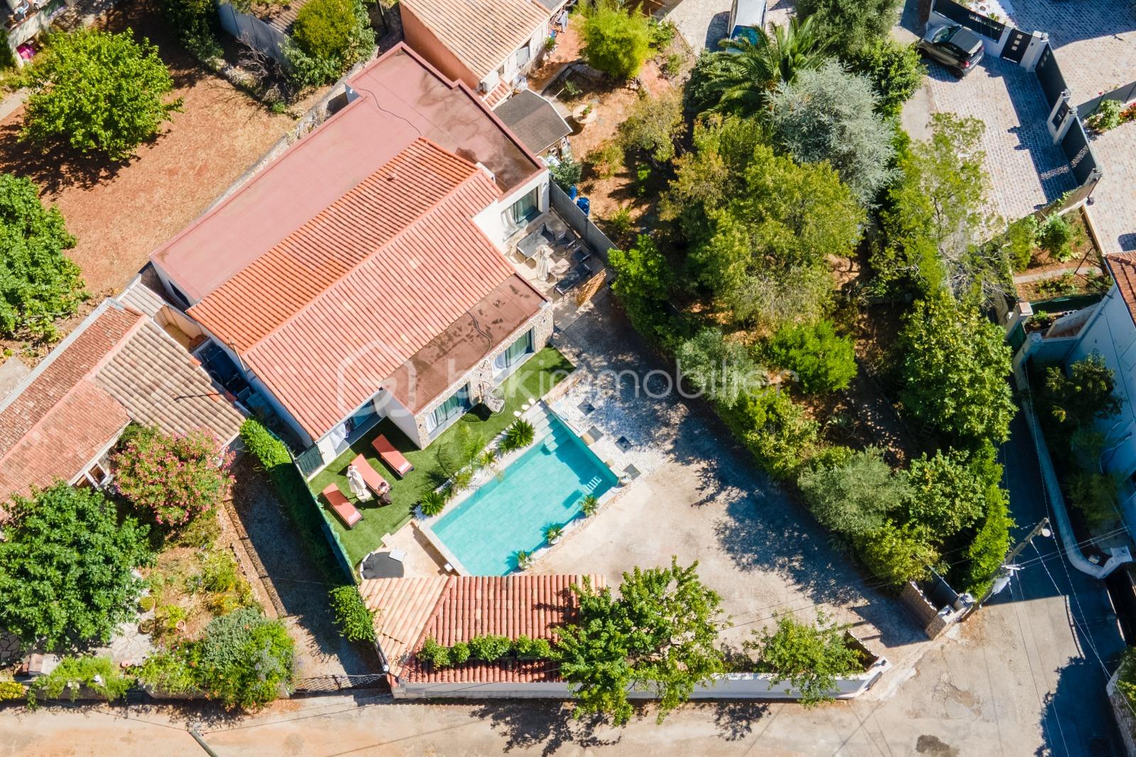 PHOTO-2026-04-11-16-20-49 2.jpg