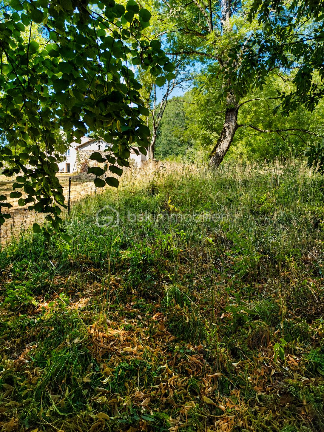 Jardin (3).png