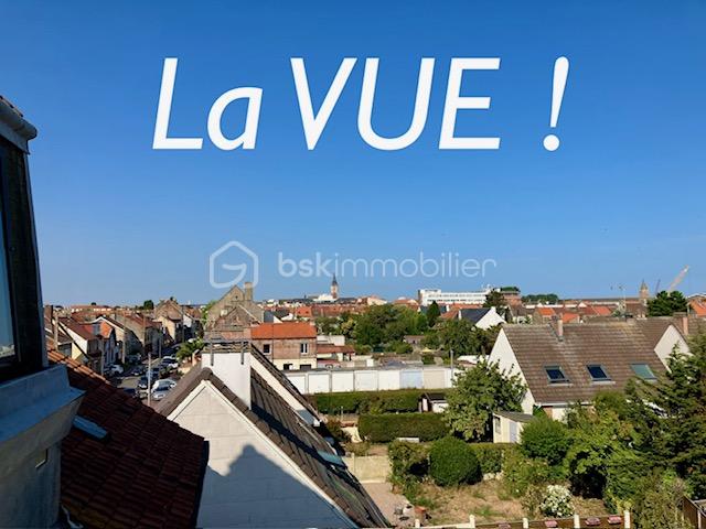 VOLTAIRE la vue.jpeg