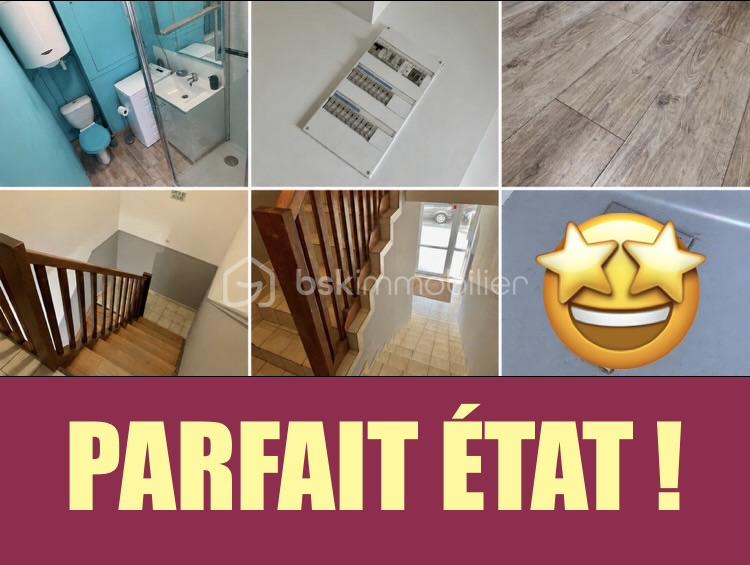 VOLTAIRE amalgame Parfait état.jpeg