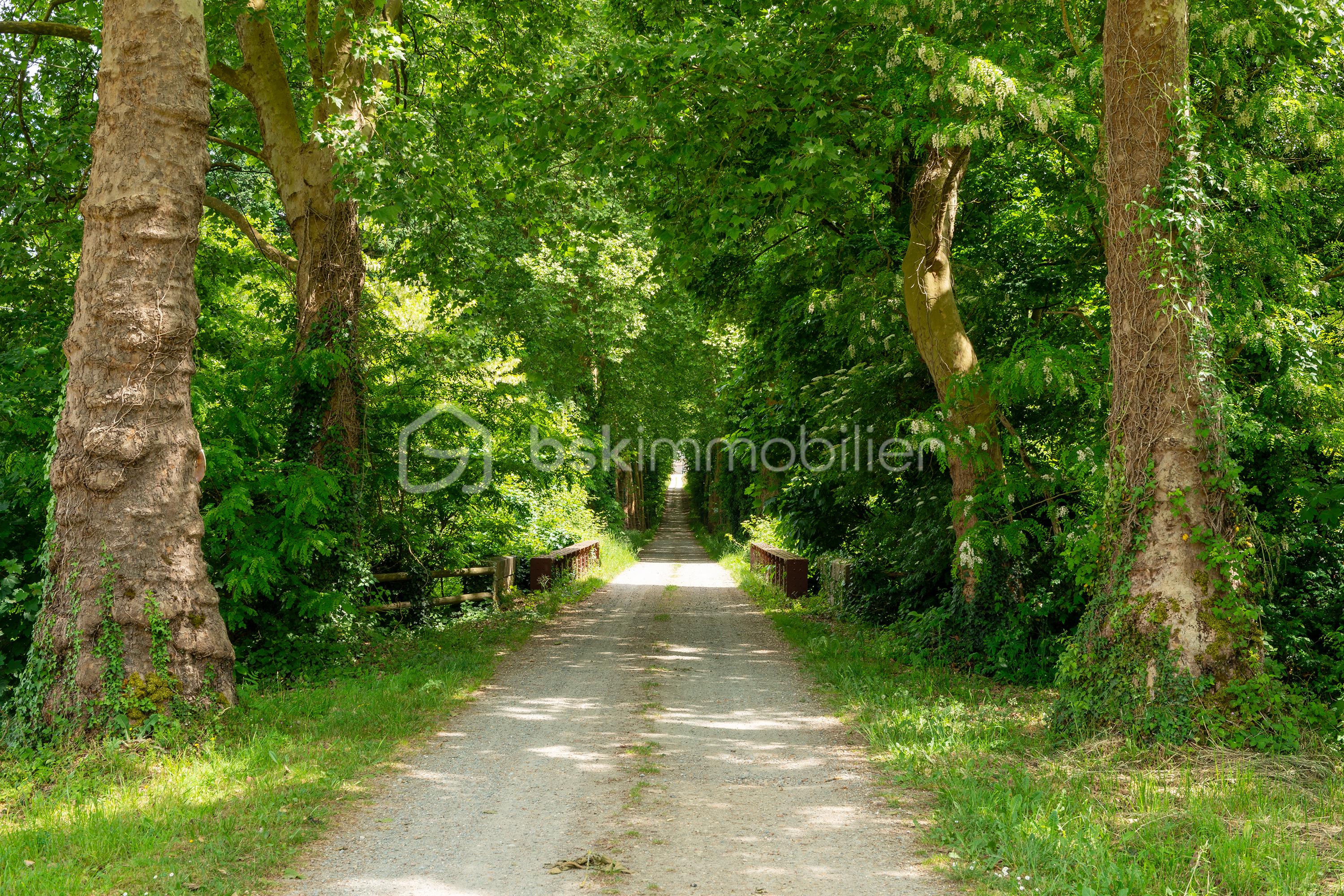 EspacesAtypiques_sau4437-mignot_seiches-sur-le-loir_4.jpg