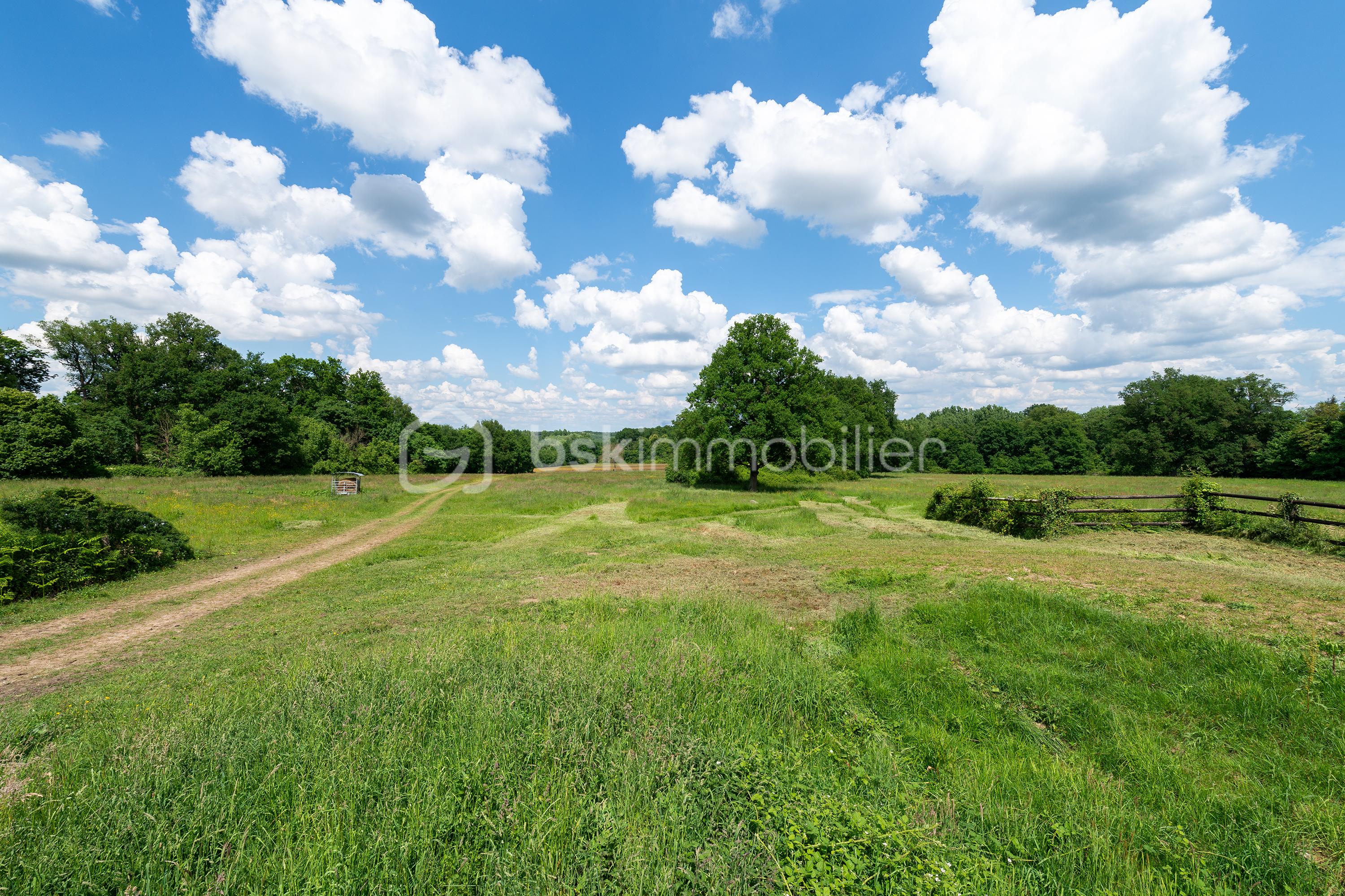 EspacesAtypiques_sau4437-mignot_seiches-sur-le-loir_6.jpg
