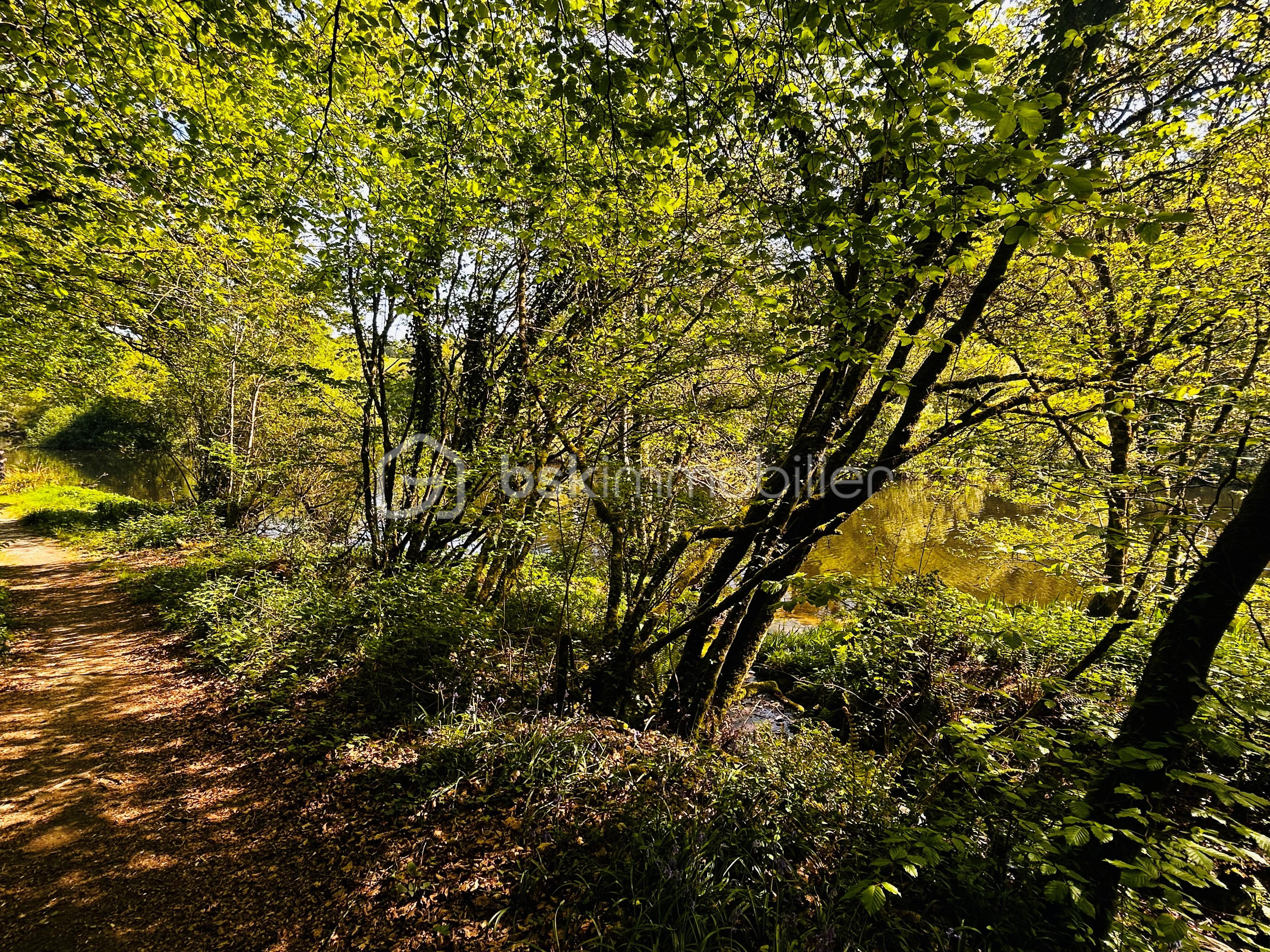 RIVIERE DE L'AULNE.jpg