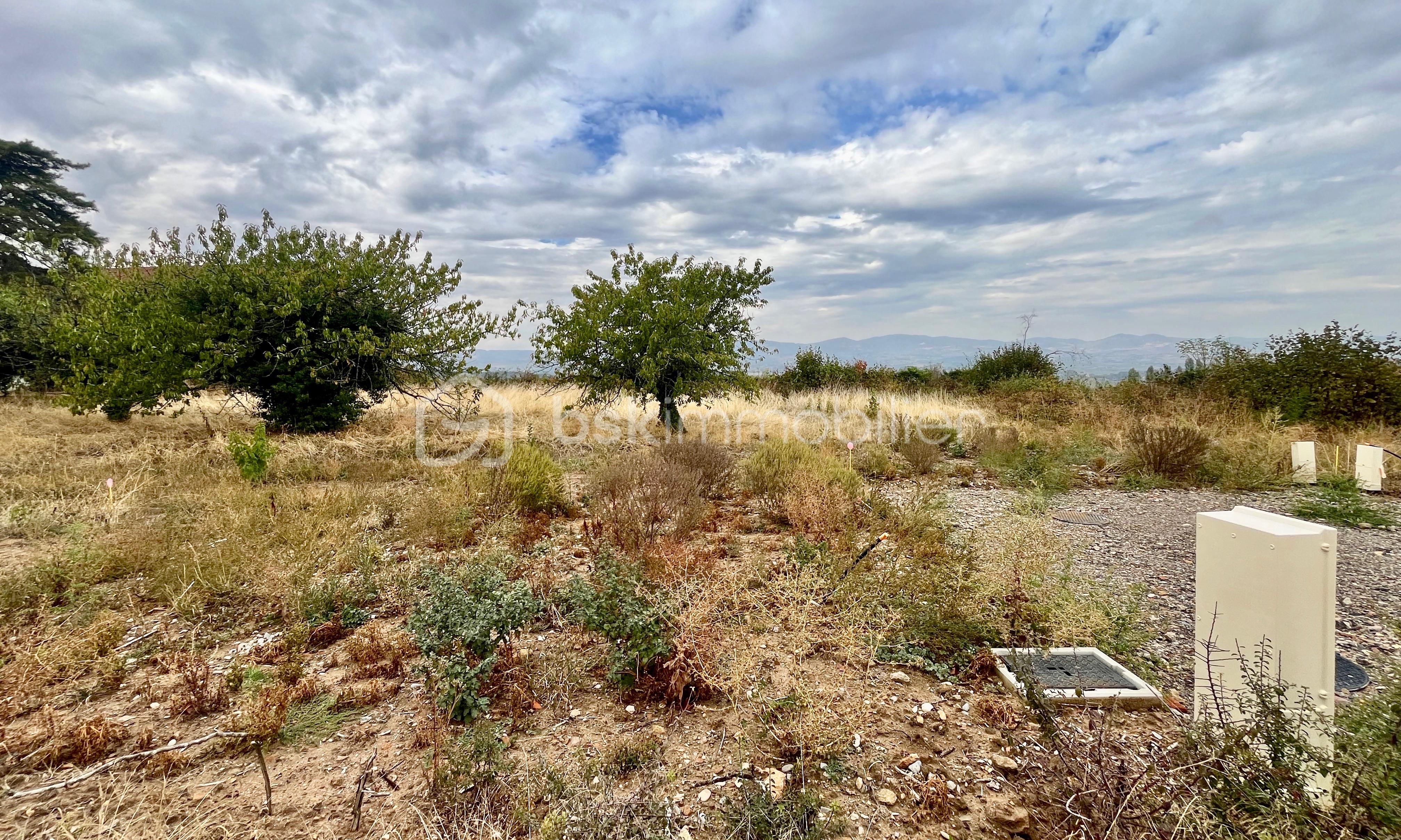IMG_5948.jpeg