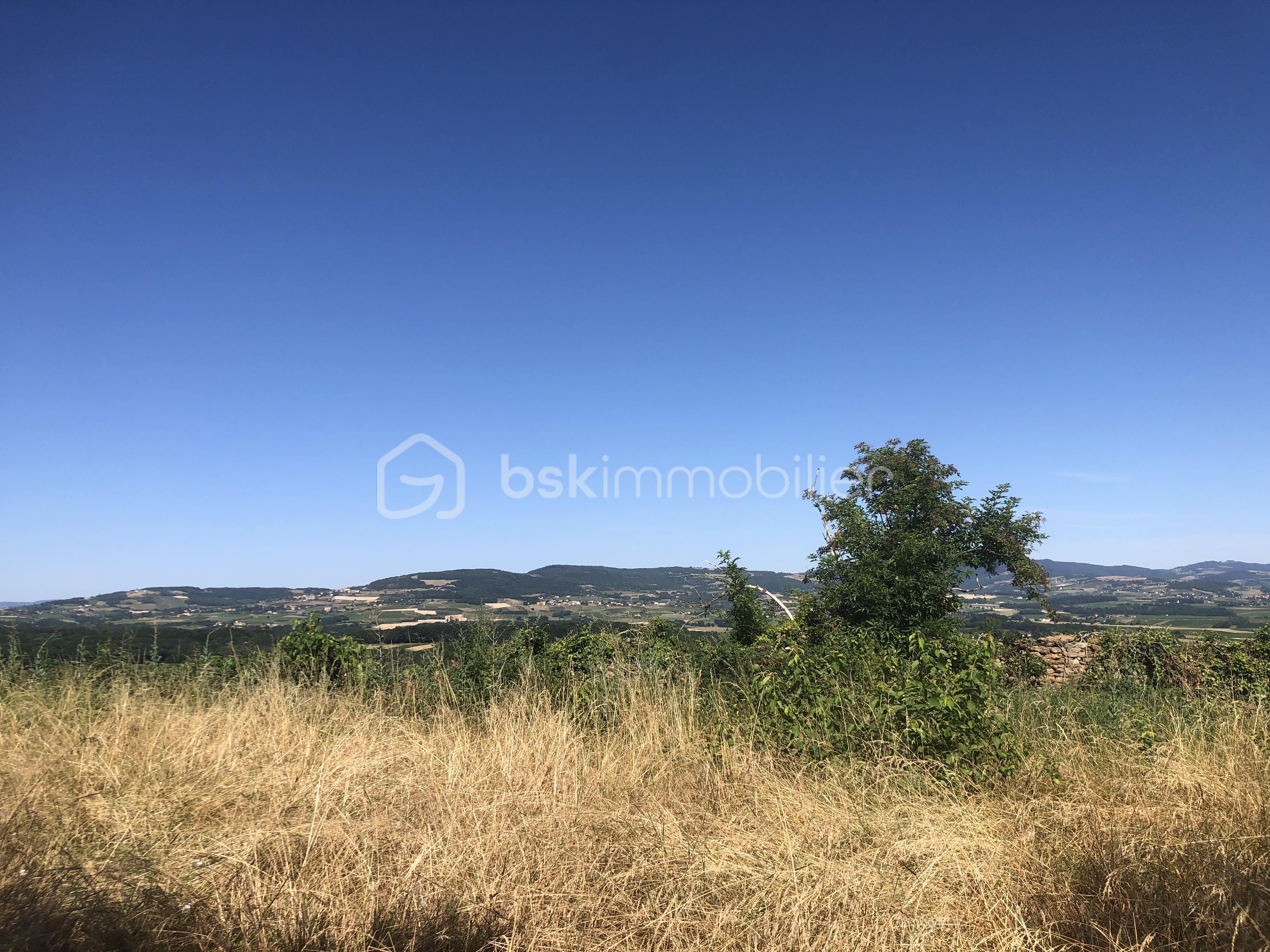 IMG_3954.jpeg.jpeg