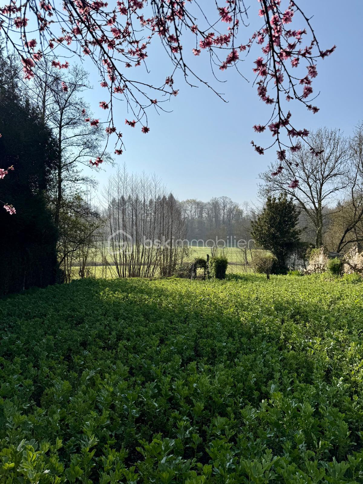 WhatsApp Image 2026-03-22 at 14.44.28 (24).jpeg