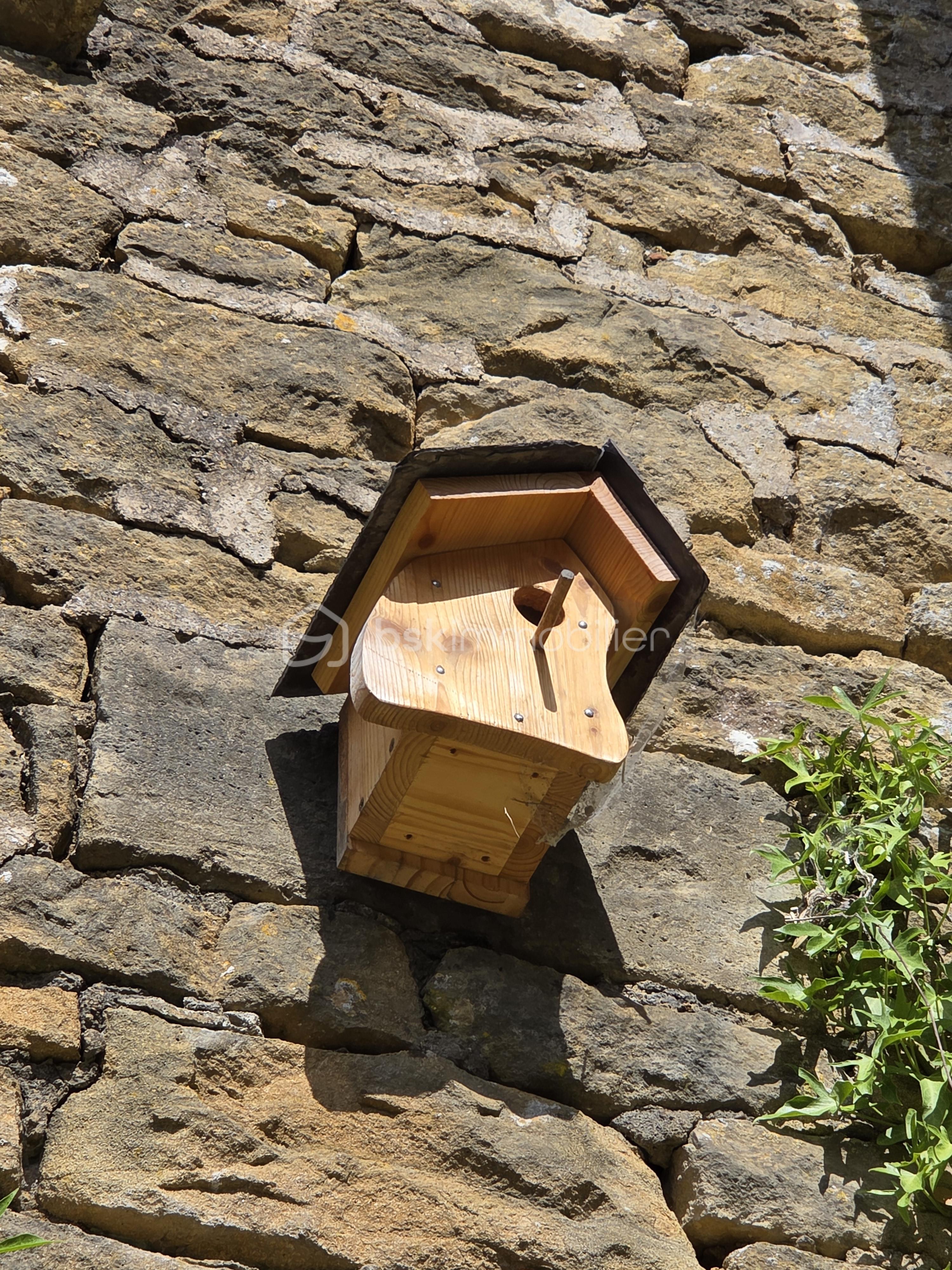 Maison de 138 m² - 20250623_170147.jpg