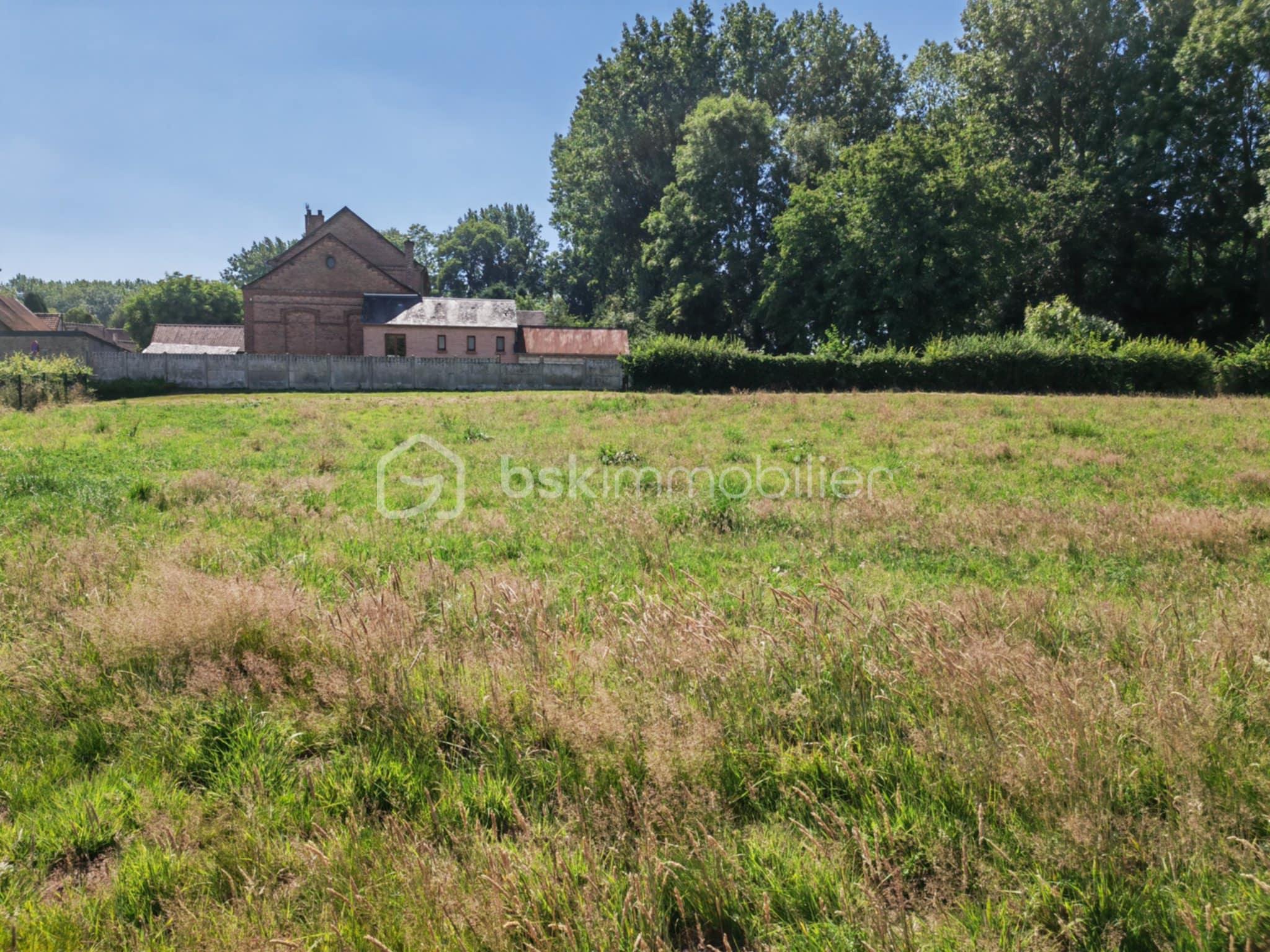 Terrain de 1 450 m² - 8b5e9cf9-d65a-481e-961e-f795568ba3a4.jpeg