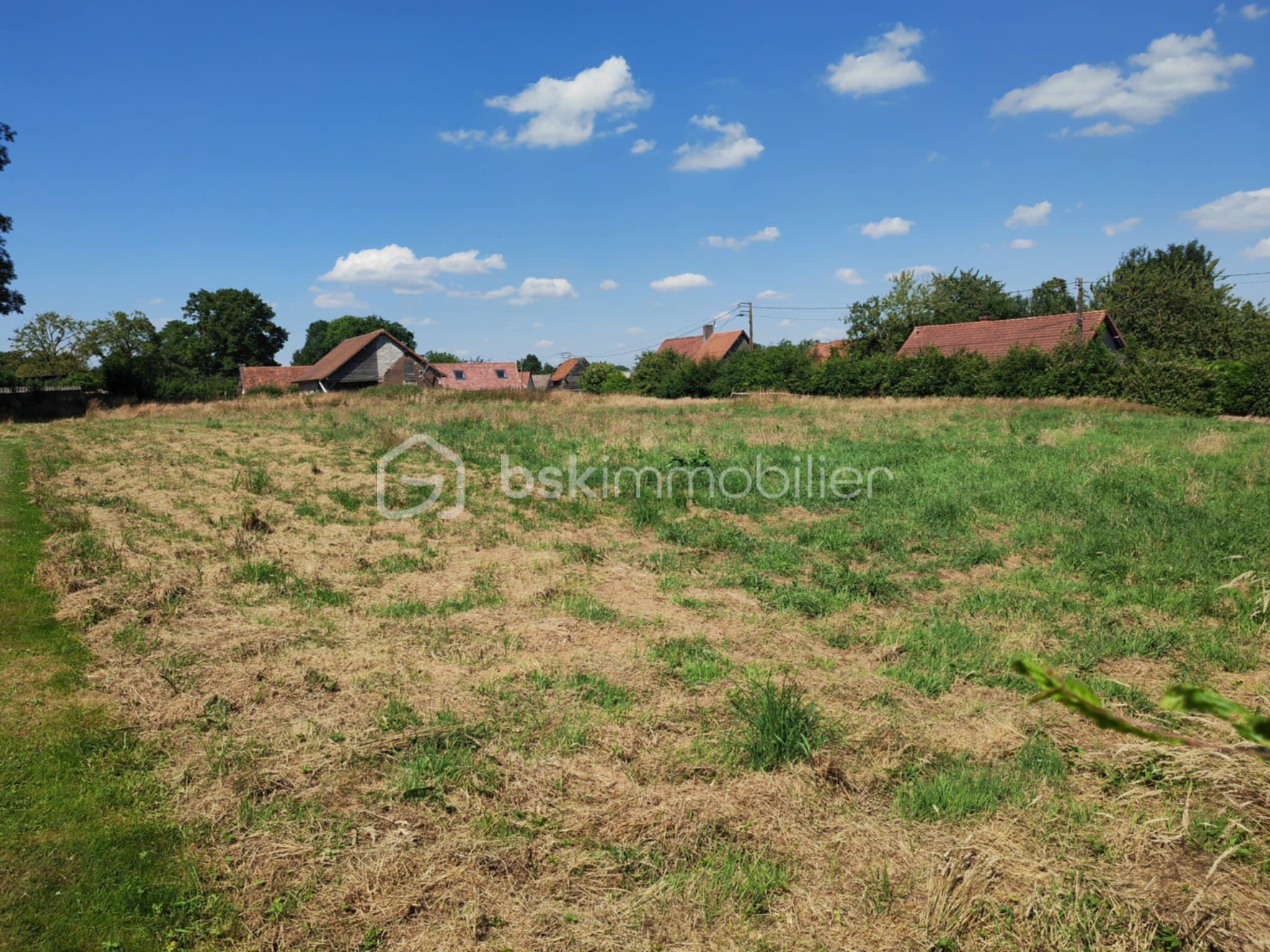 Terrain de 1 450 m² - 4ff5c813-e28a-456a-a179-57c30c43c13a.jpeg