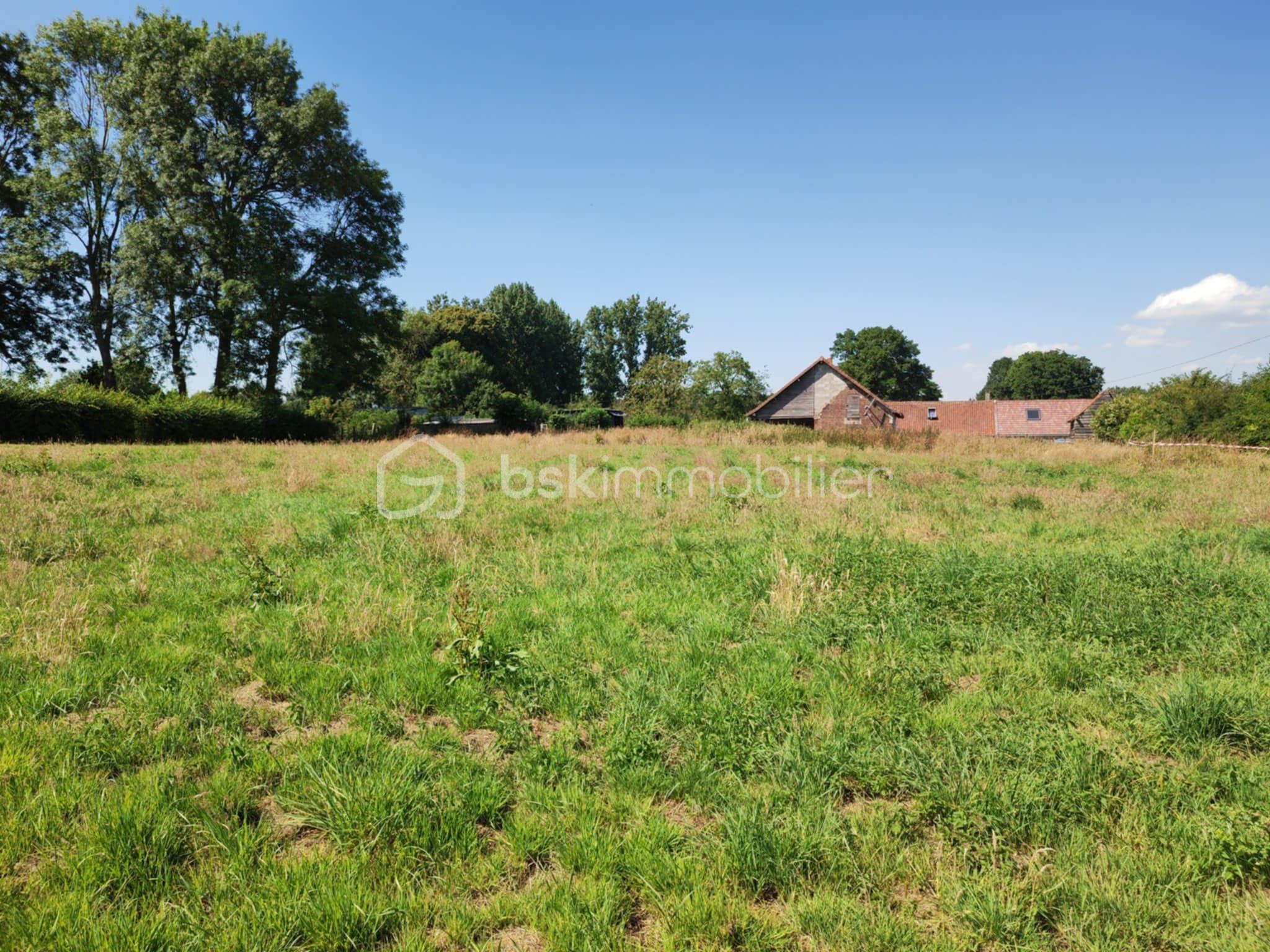 Terrain de 1 450 m² - 07a96f25-5846-4cee-b959-9e33f1a7f97e.jpeg