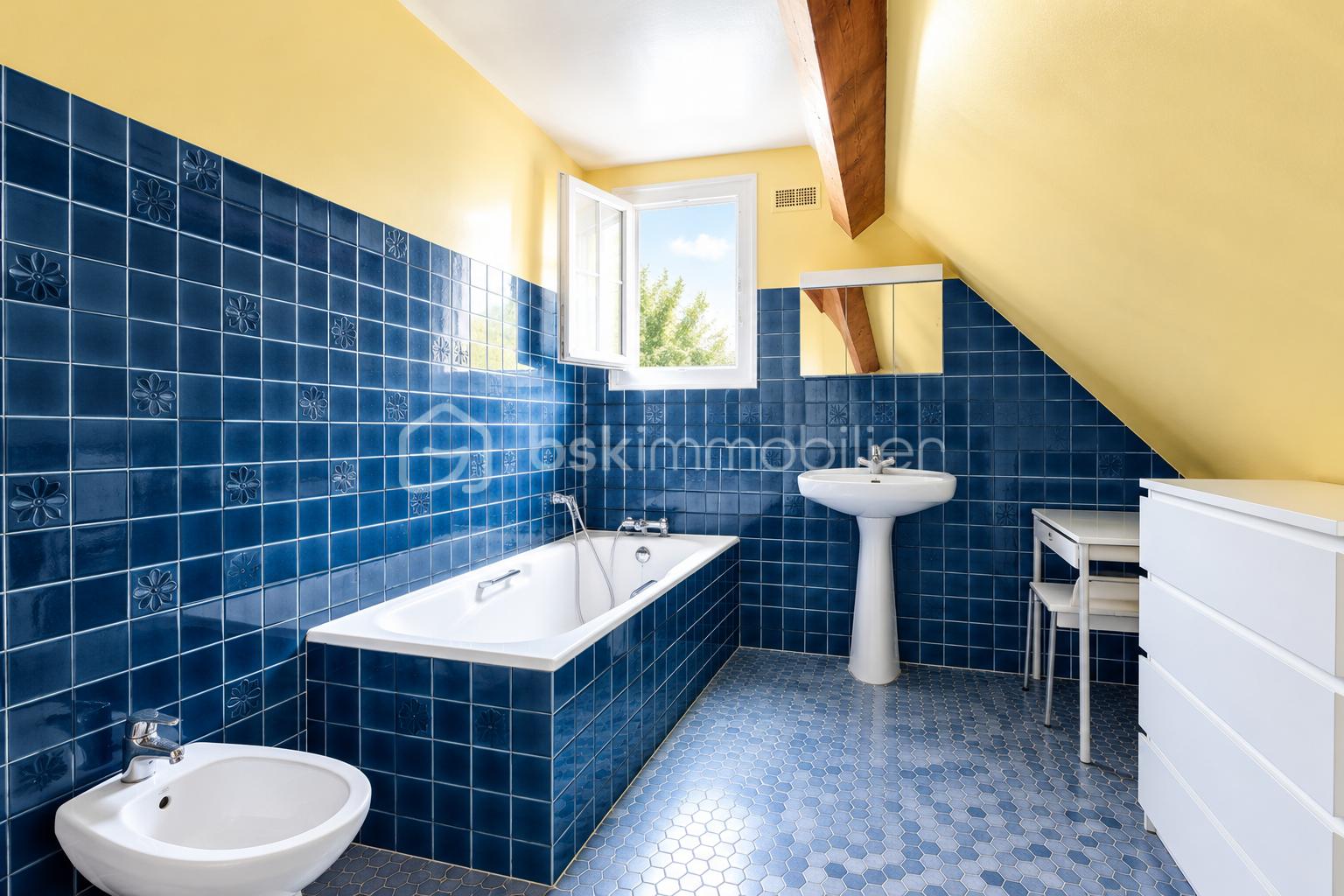 Salle de bains bleue.png