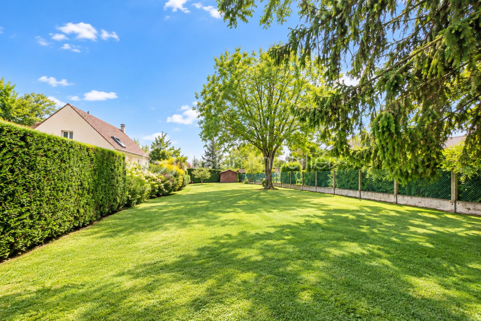 Jardin résidentiel verdoyant et ensoleillé.png
