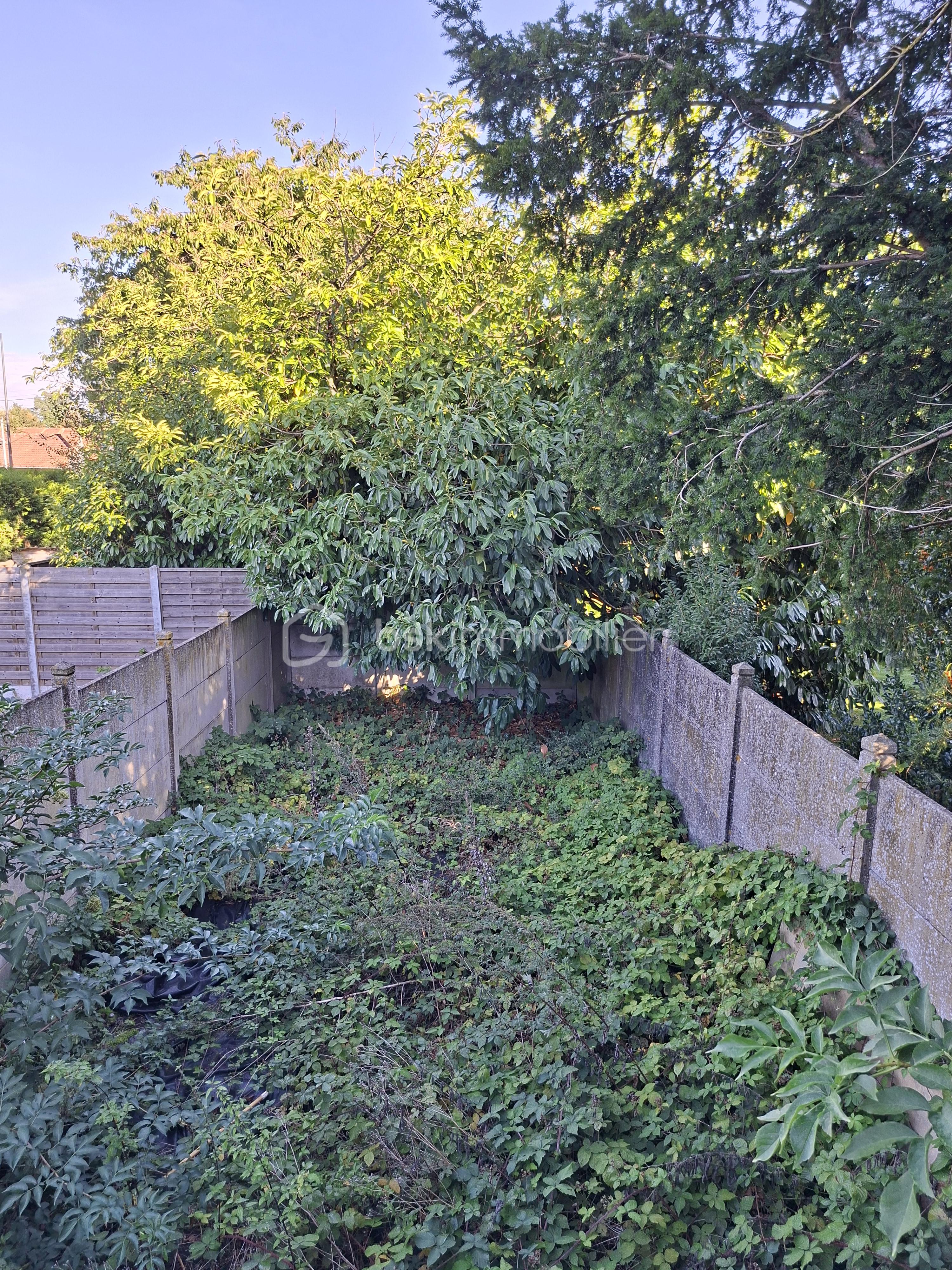 20260910_094500.jpg