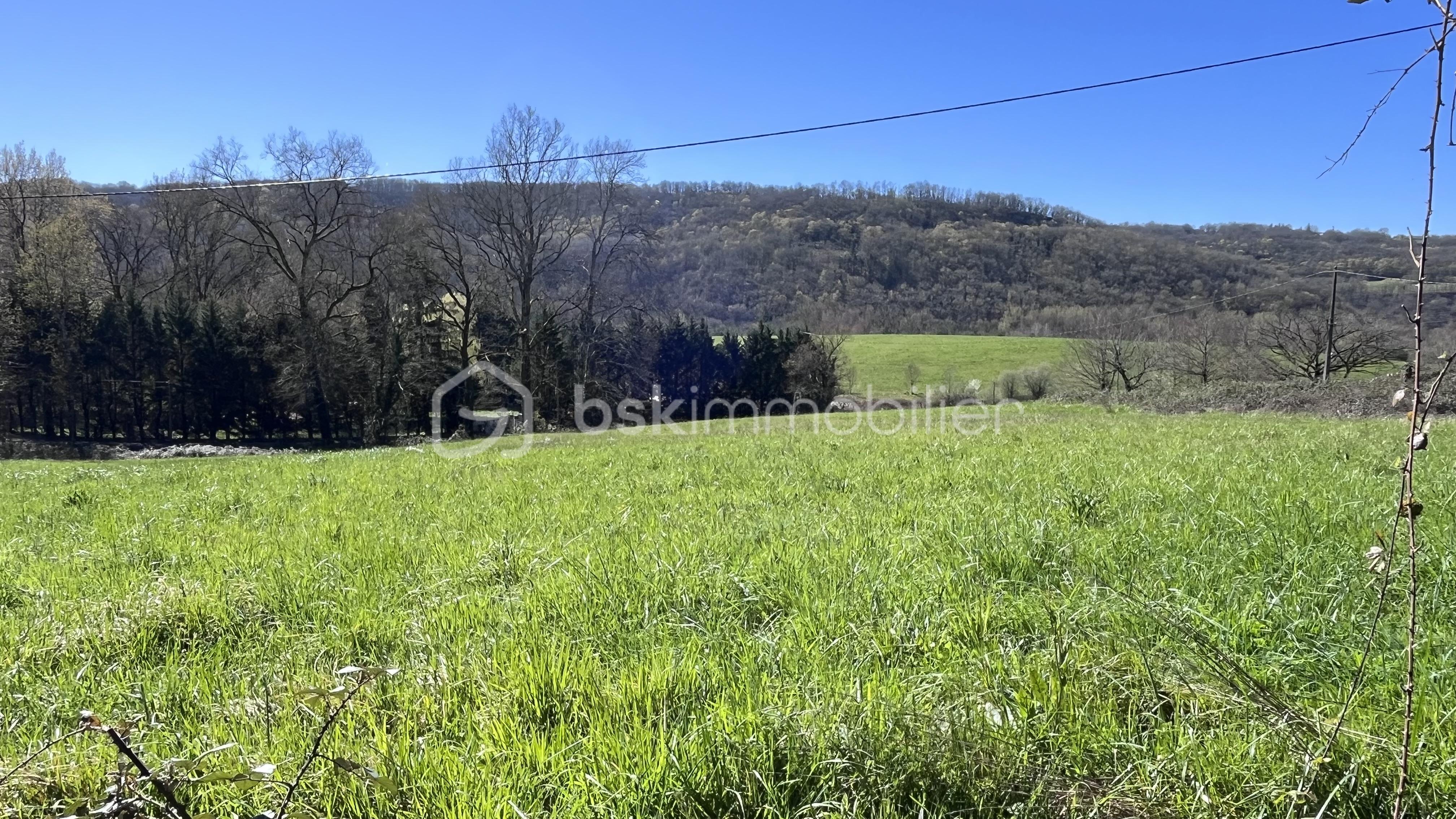 IMG_3328.jpg