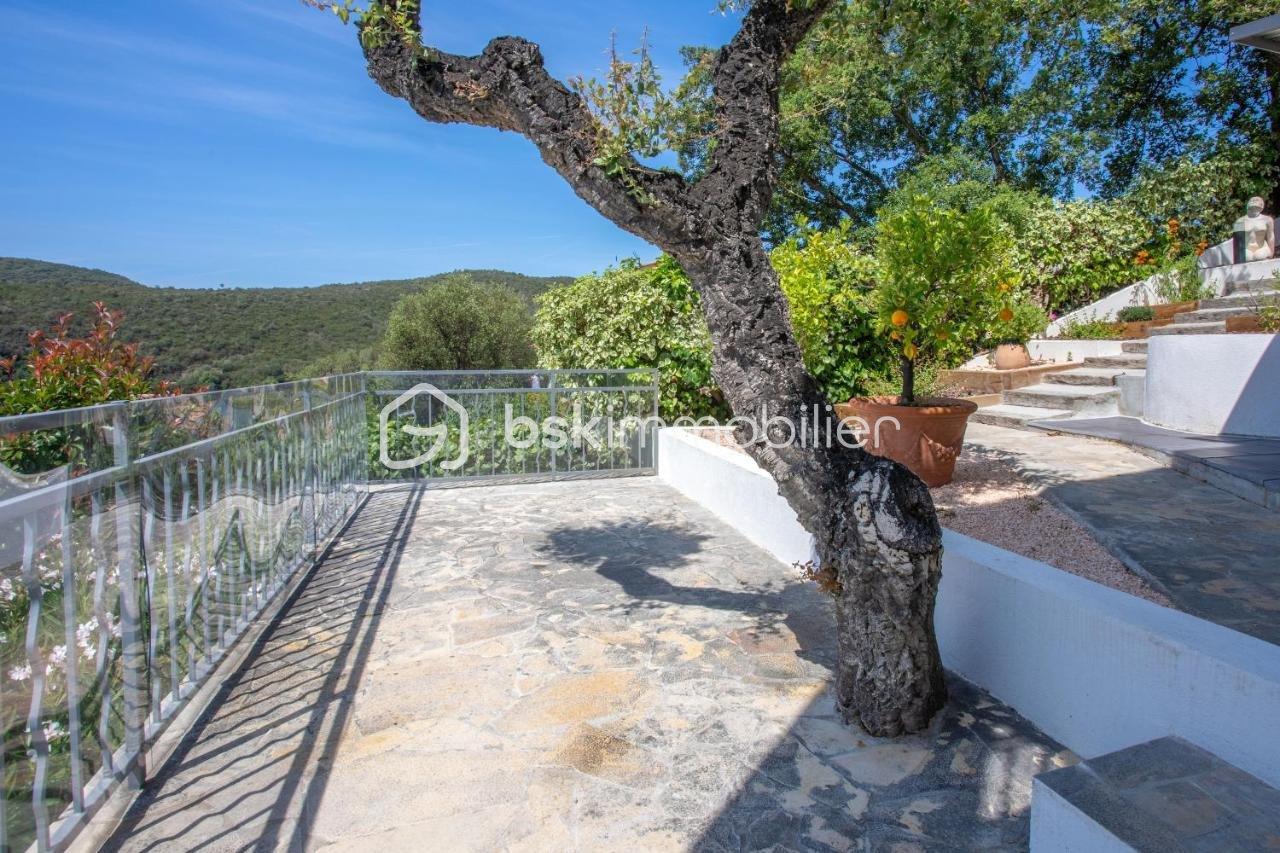 PHOTO-2024-12-15-10-48-11 (7).jpg