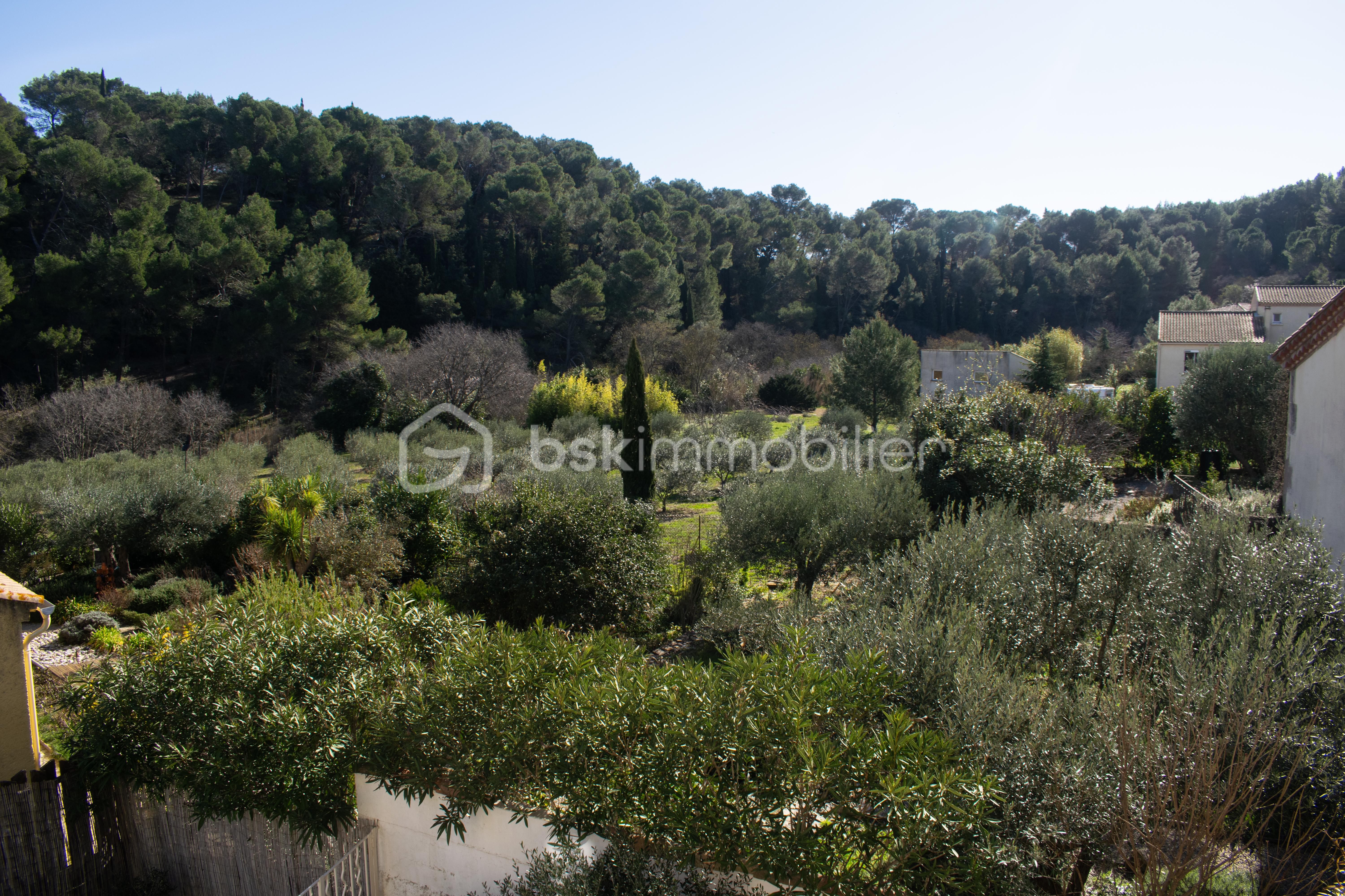 sans titre (1 sur 1)-2 copie.jpg