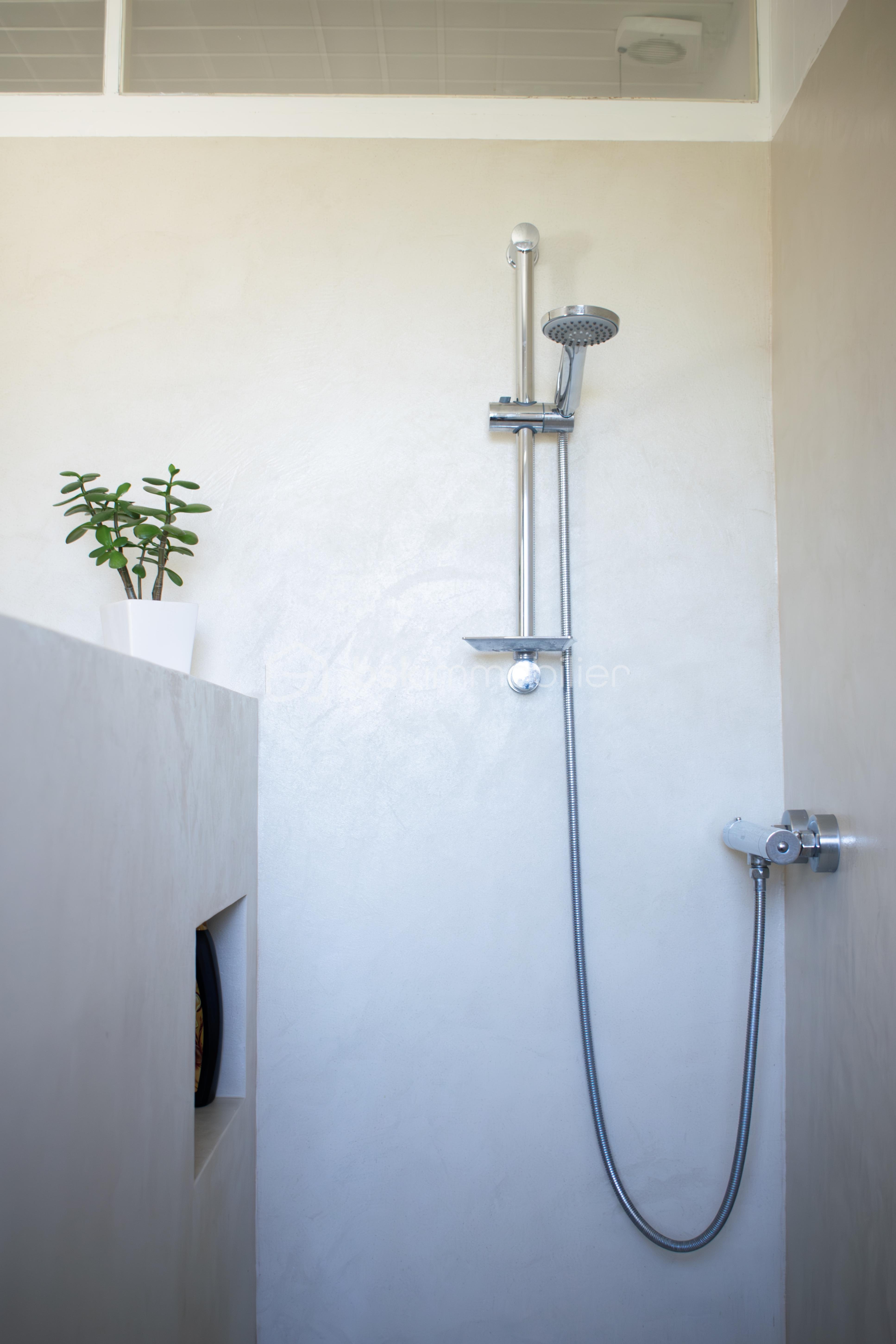 DSC_0107-Avec accentuation-Bruit copie.jpg