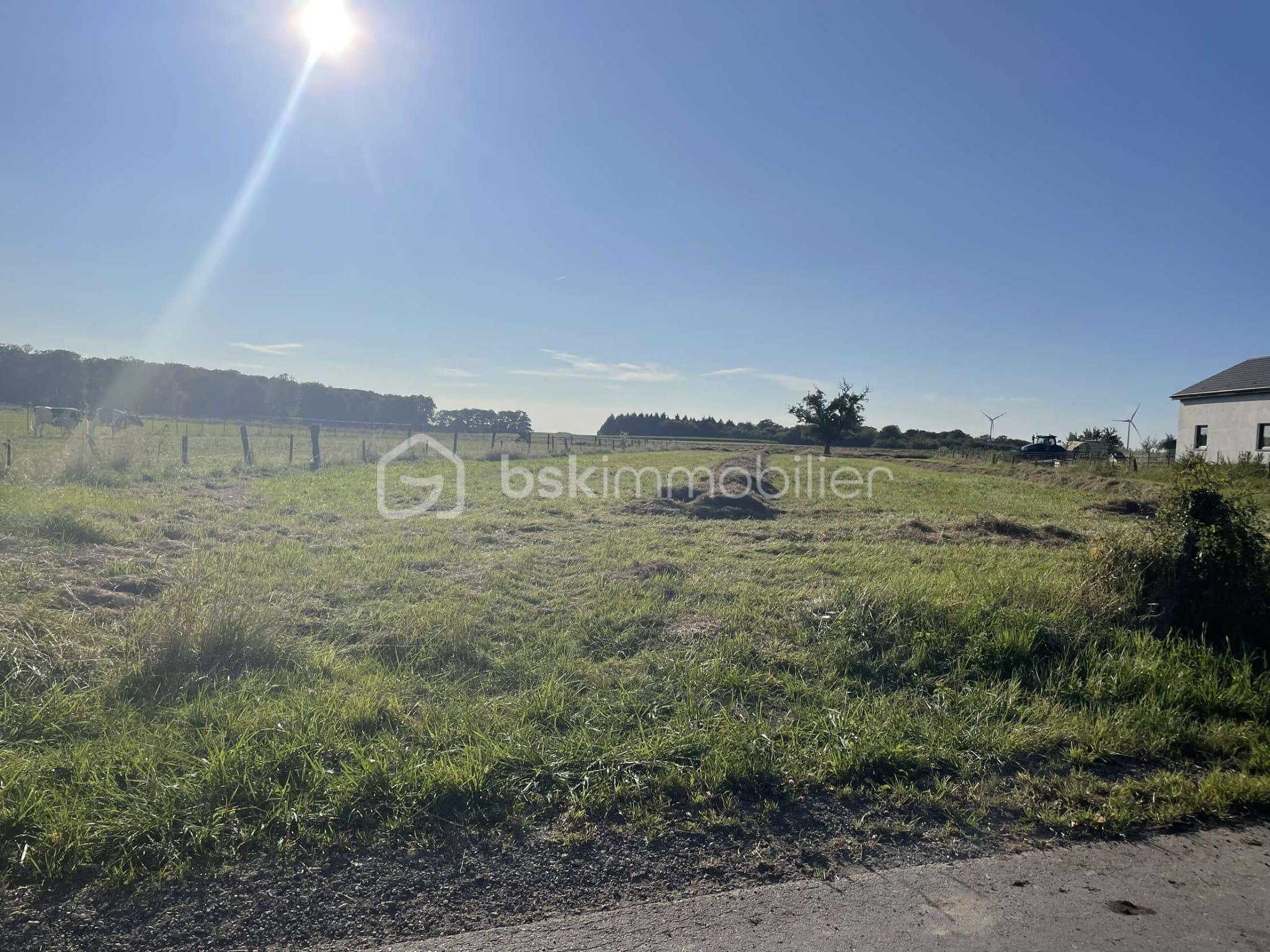Terrain de 2 866 m² - b3617166-f544-4597-92d8-38dd5bc84857.JPG