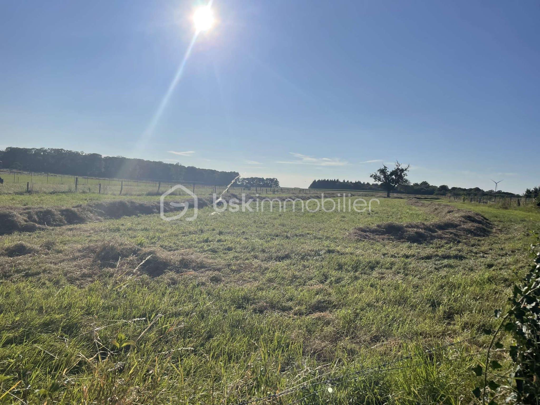Terrain de 2 866 m² - f1b3e4f2-c2df-4e98-b1a7-a5e8baa1086e.JPG