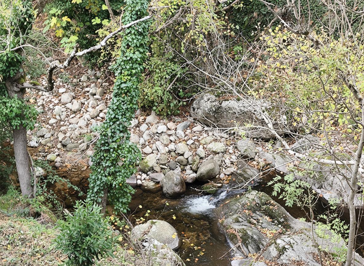 Maison ancienne de 120 m² - generated_2025-11-11T11_28_32.050.jpg