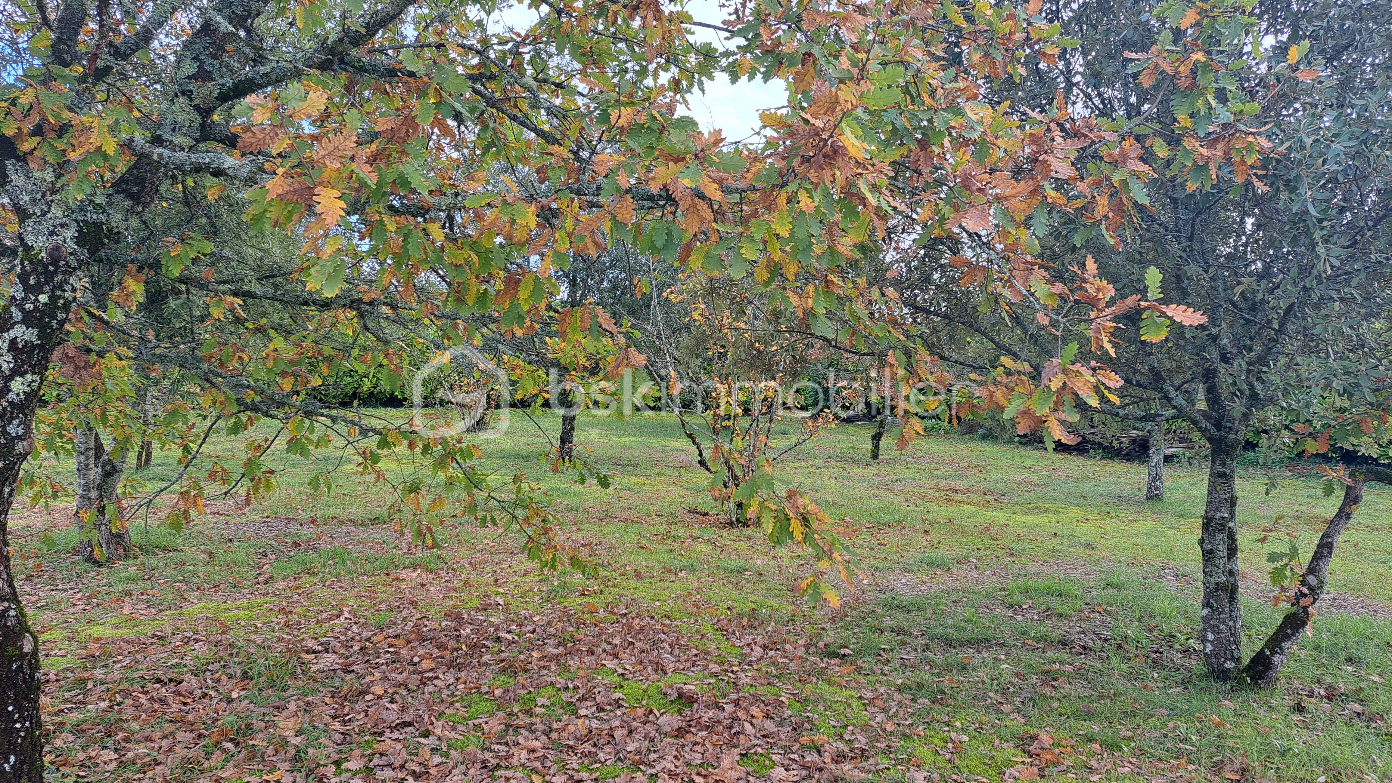 Maison de 121 m² - 20251107_153316.jpg