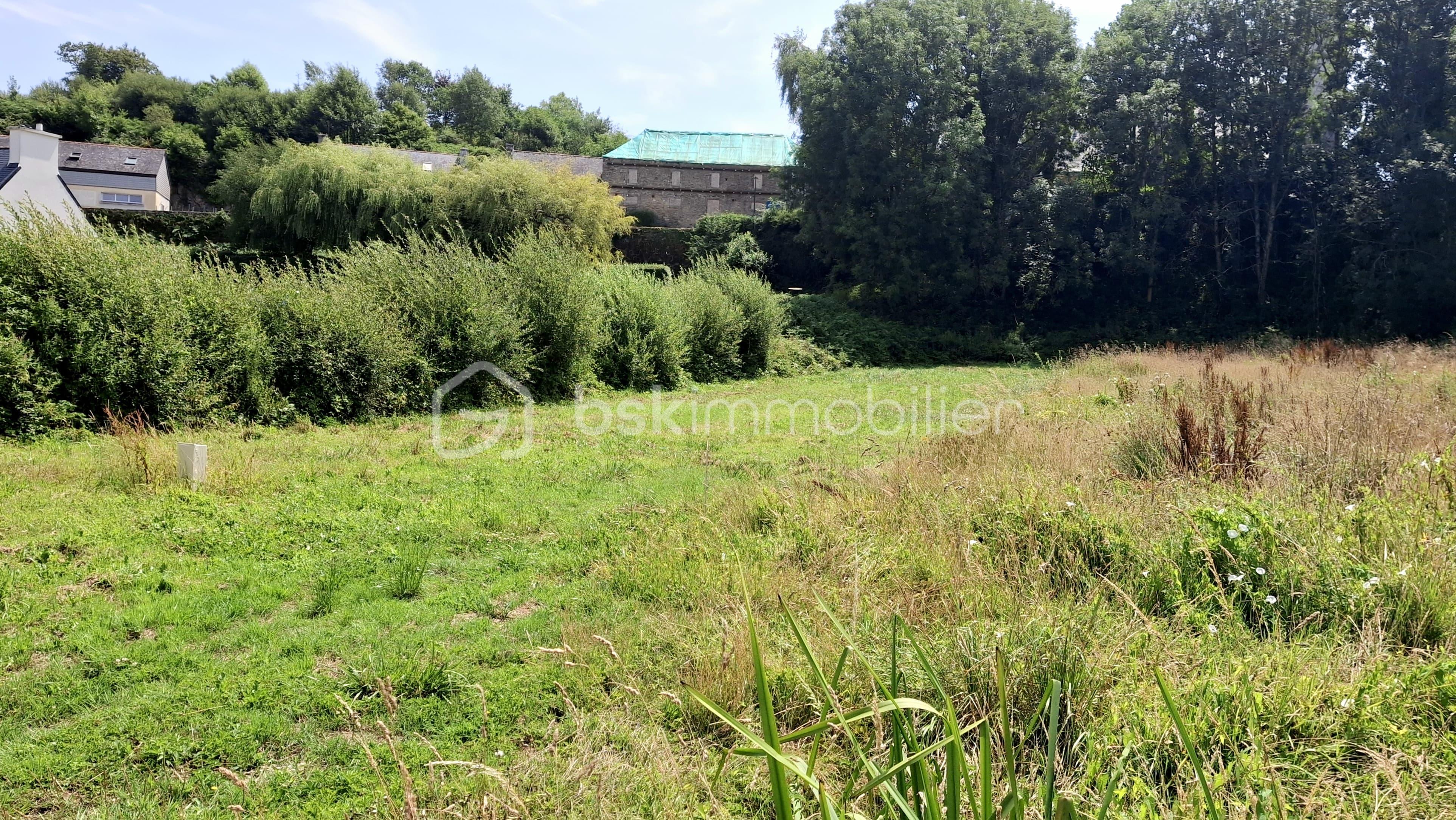 Terrain de 647 m² - 1000009143.jpg