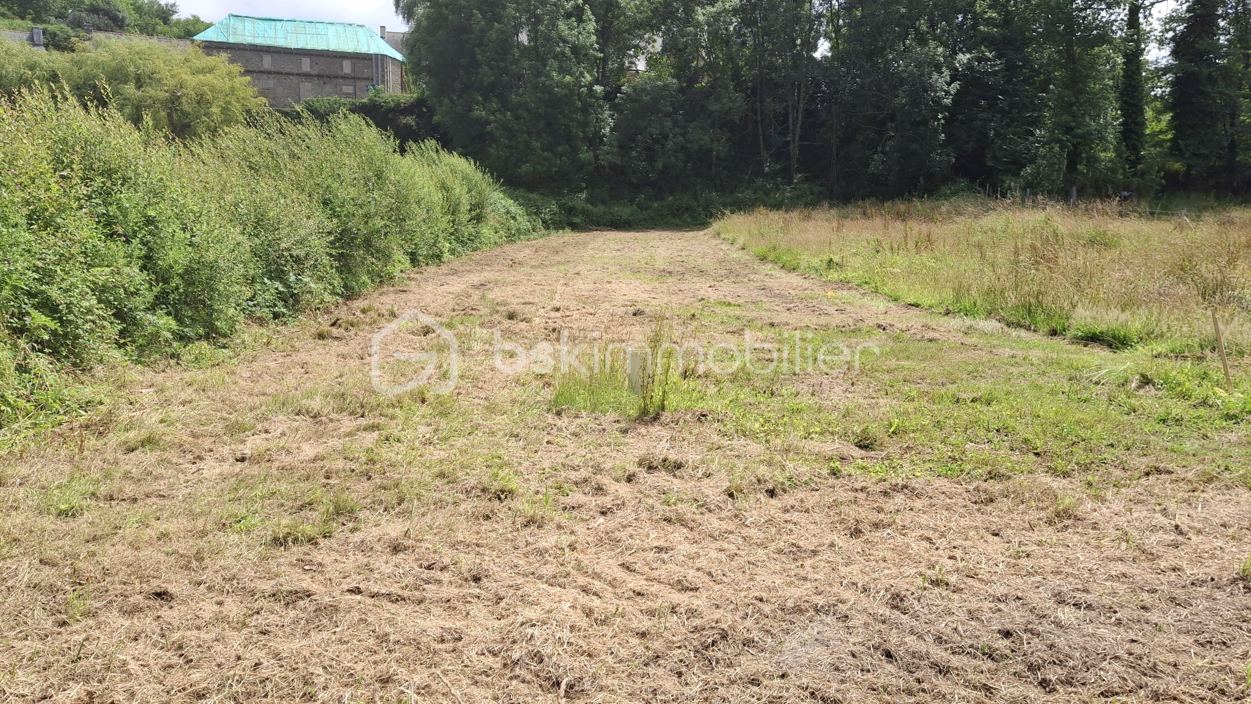 Terrain de 647 m² - 1000009144.jpg