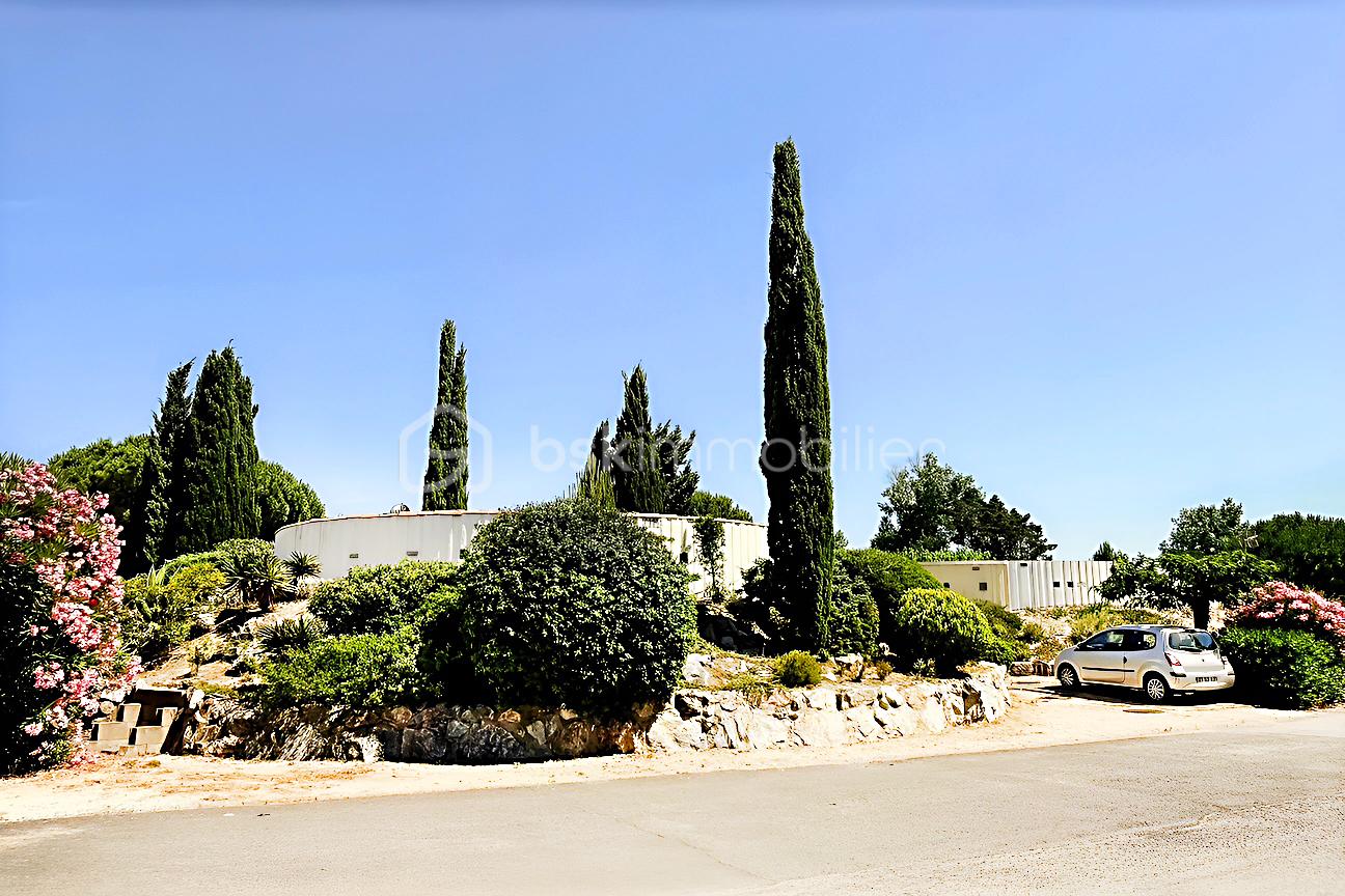hoqi-photo 7.jpg