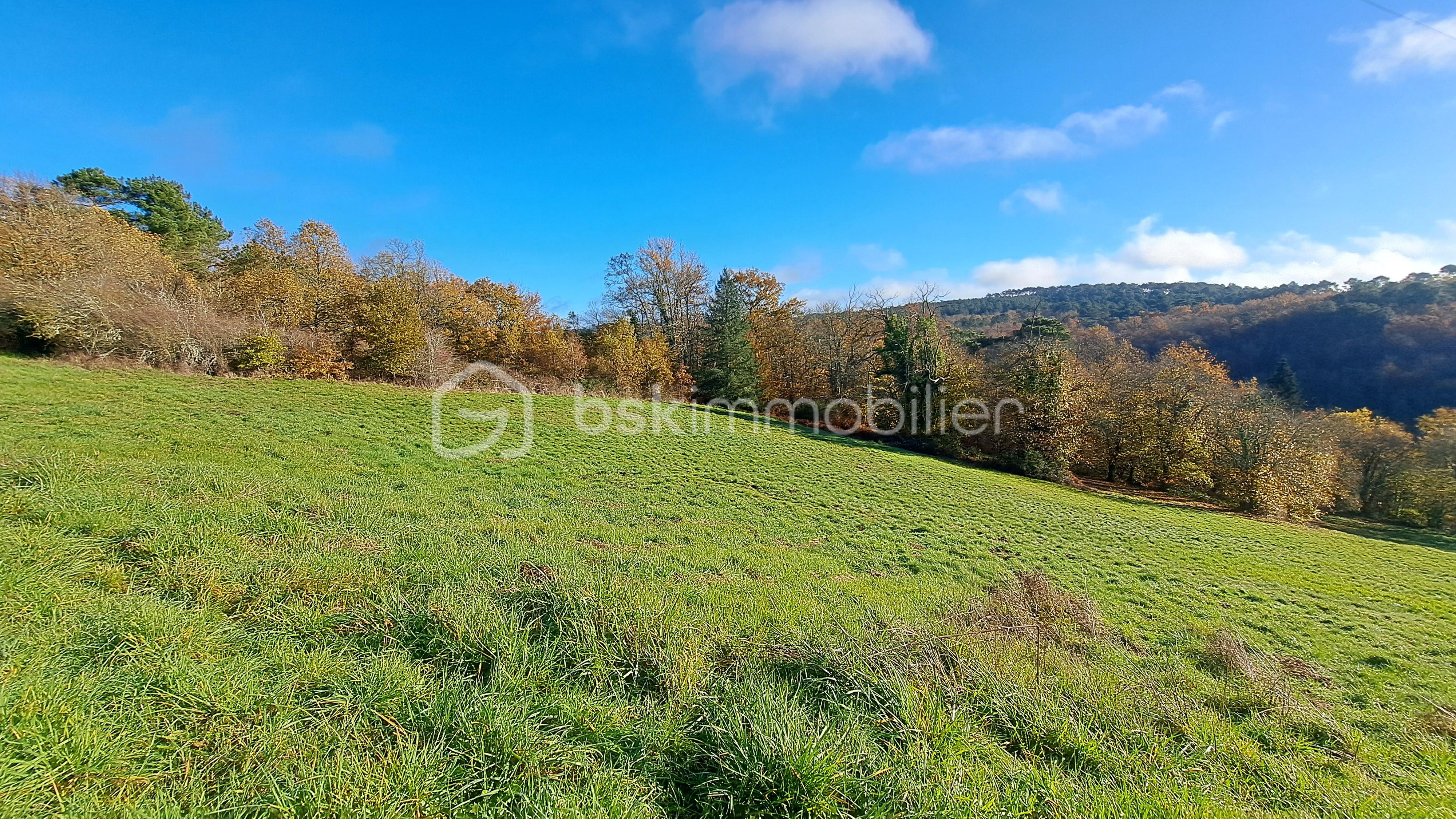 Corps de ferme de 85 m² - 20251203_110037.jpg