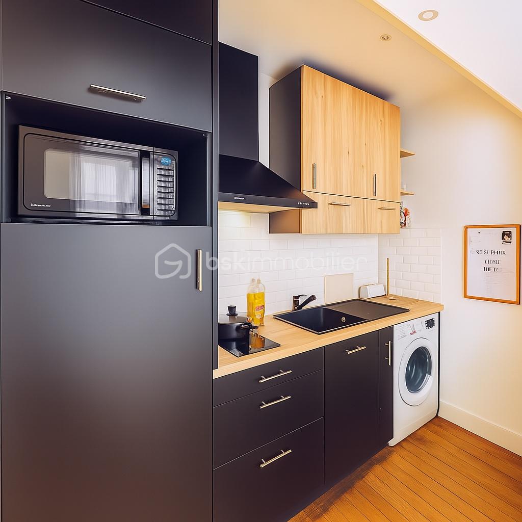 Appartement de 16 m² - cusinie modifié.jpg