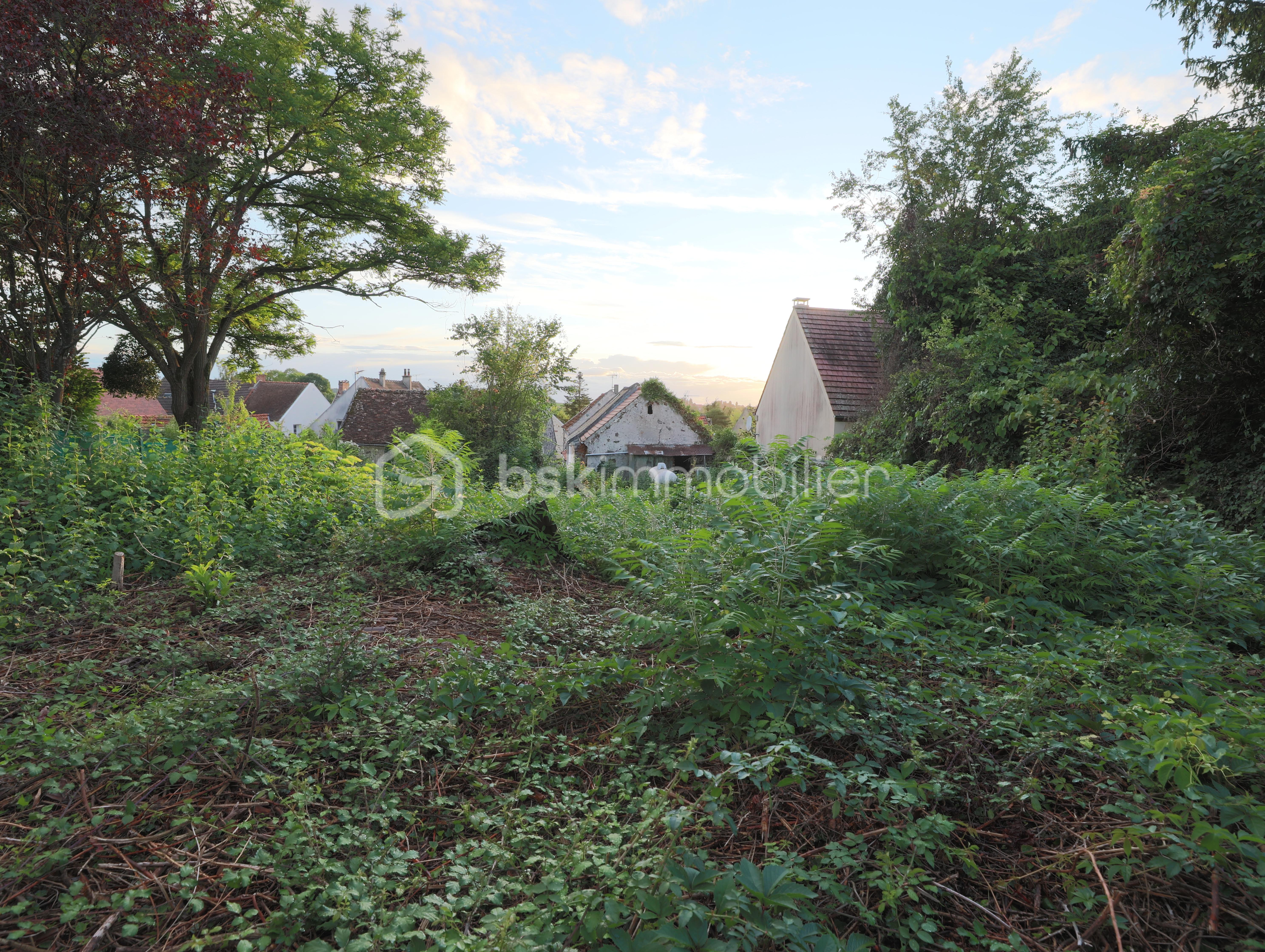 Terrain de loisirs de 450 m² - terrin.JPG