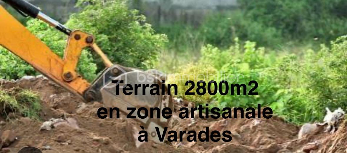 Photo terrain.jpg