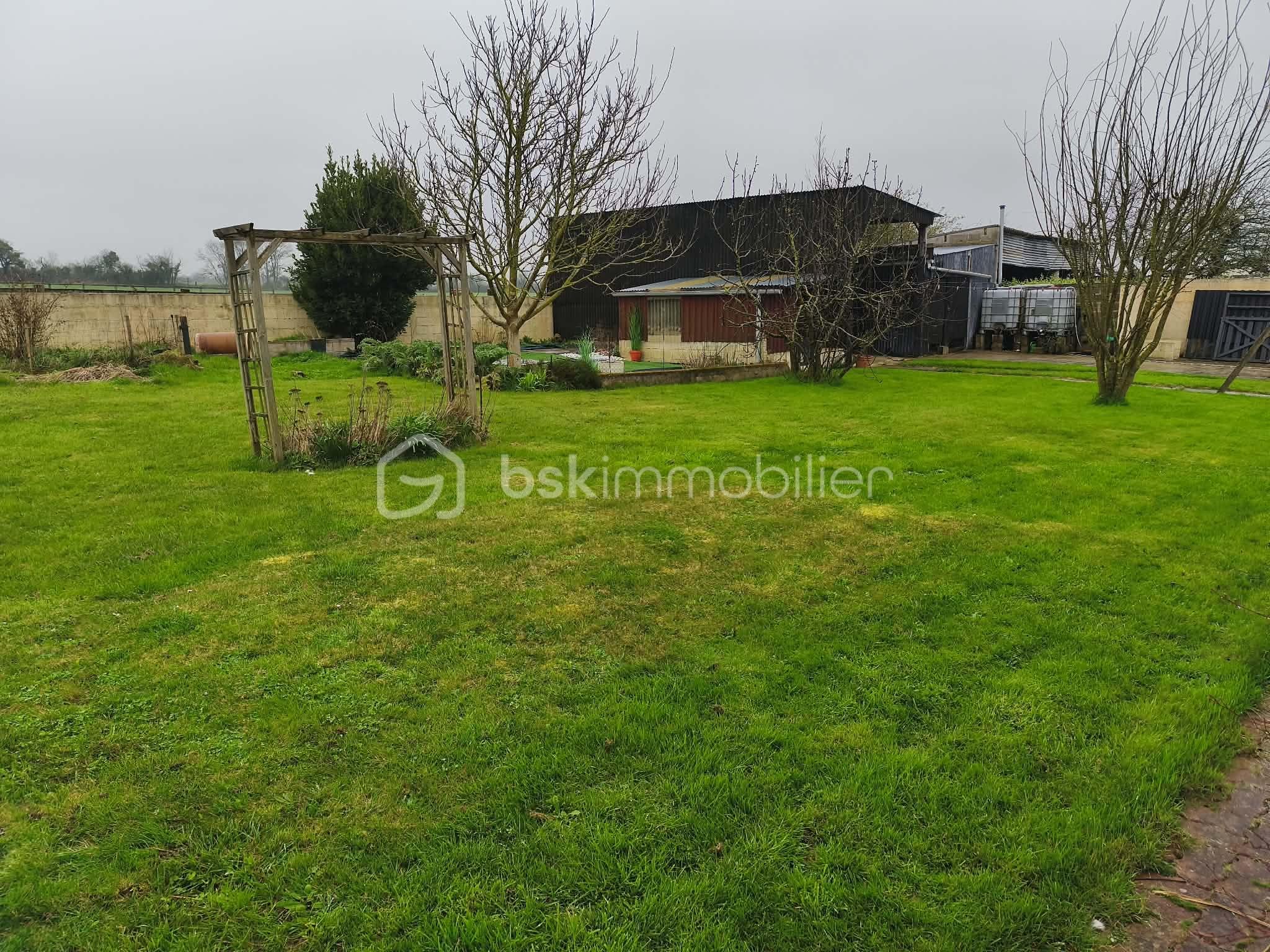 58789831-c3de-4a1e-a14e-cd98ceb0f168 (1).jpg