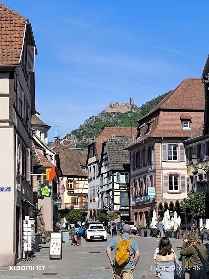 IMG_20260427_104845 (1).jpg