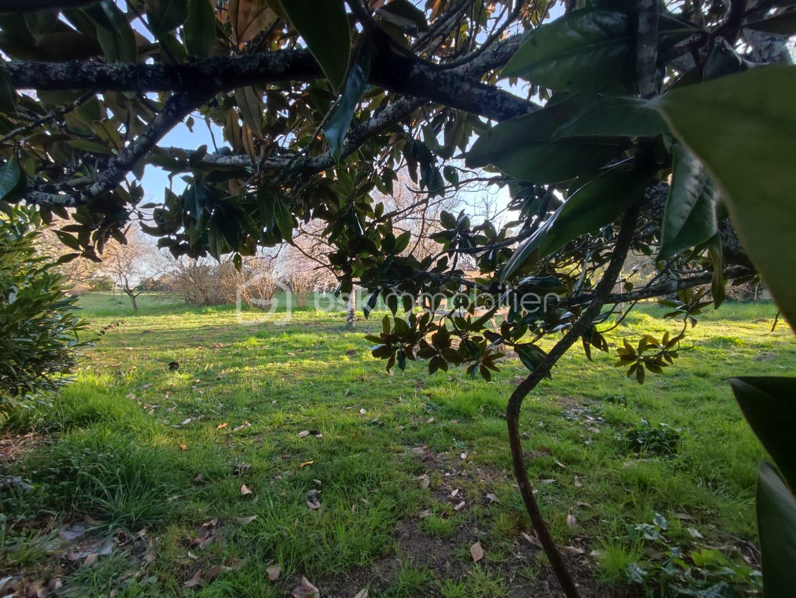 Corps de ferme de 315 m² - IMG-20250305-WA0003.jpg