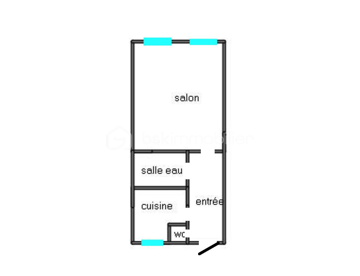 Appartement de 35 m² - Plan diag 1.png