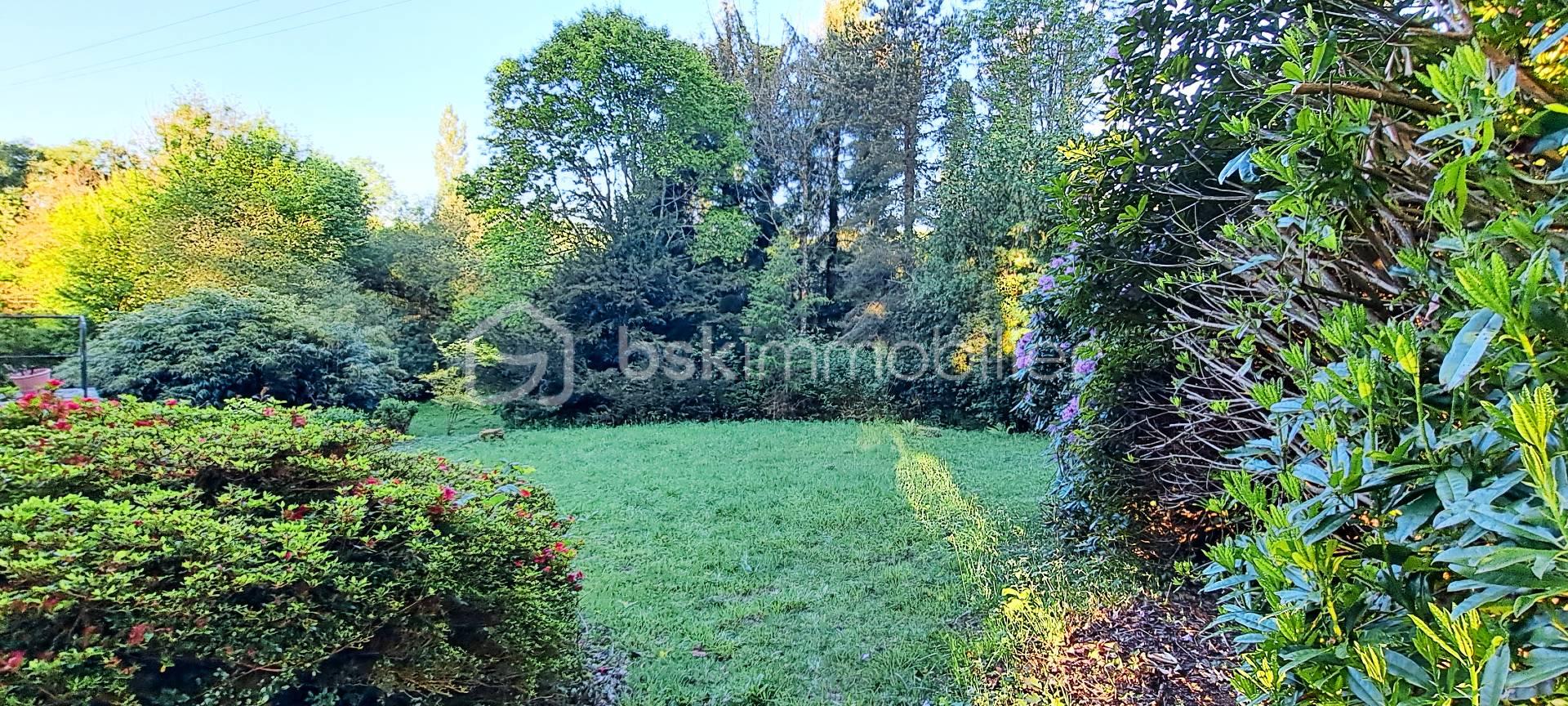 JARDIN.jpg