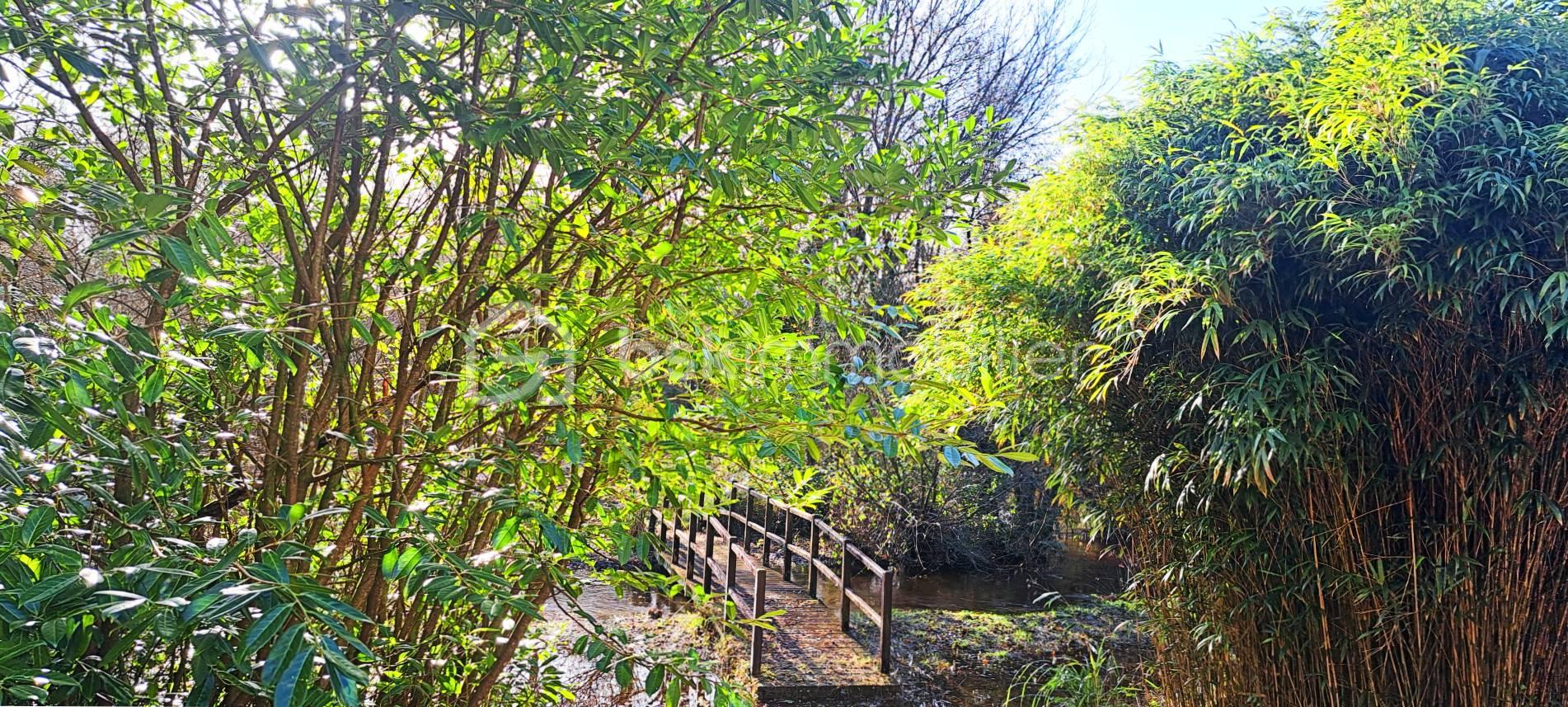 Maison de 70 m² - pont.jpg