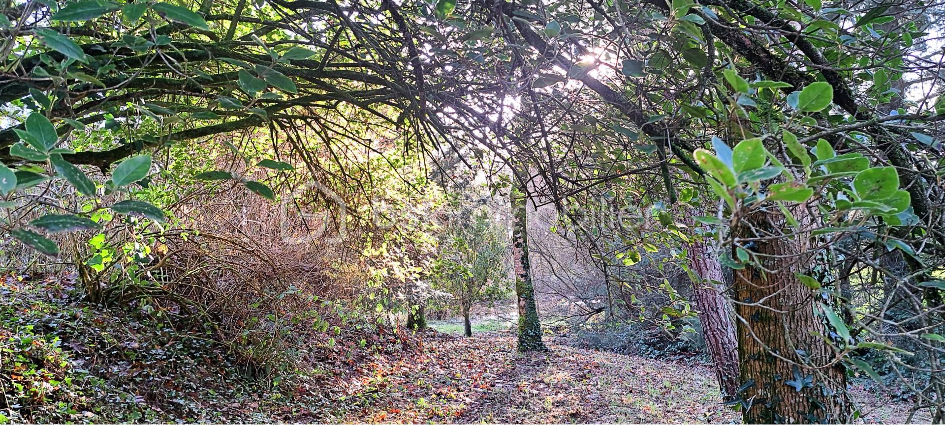 Maison de 70 m² - bois.jpg