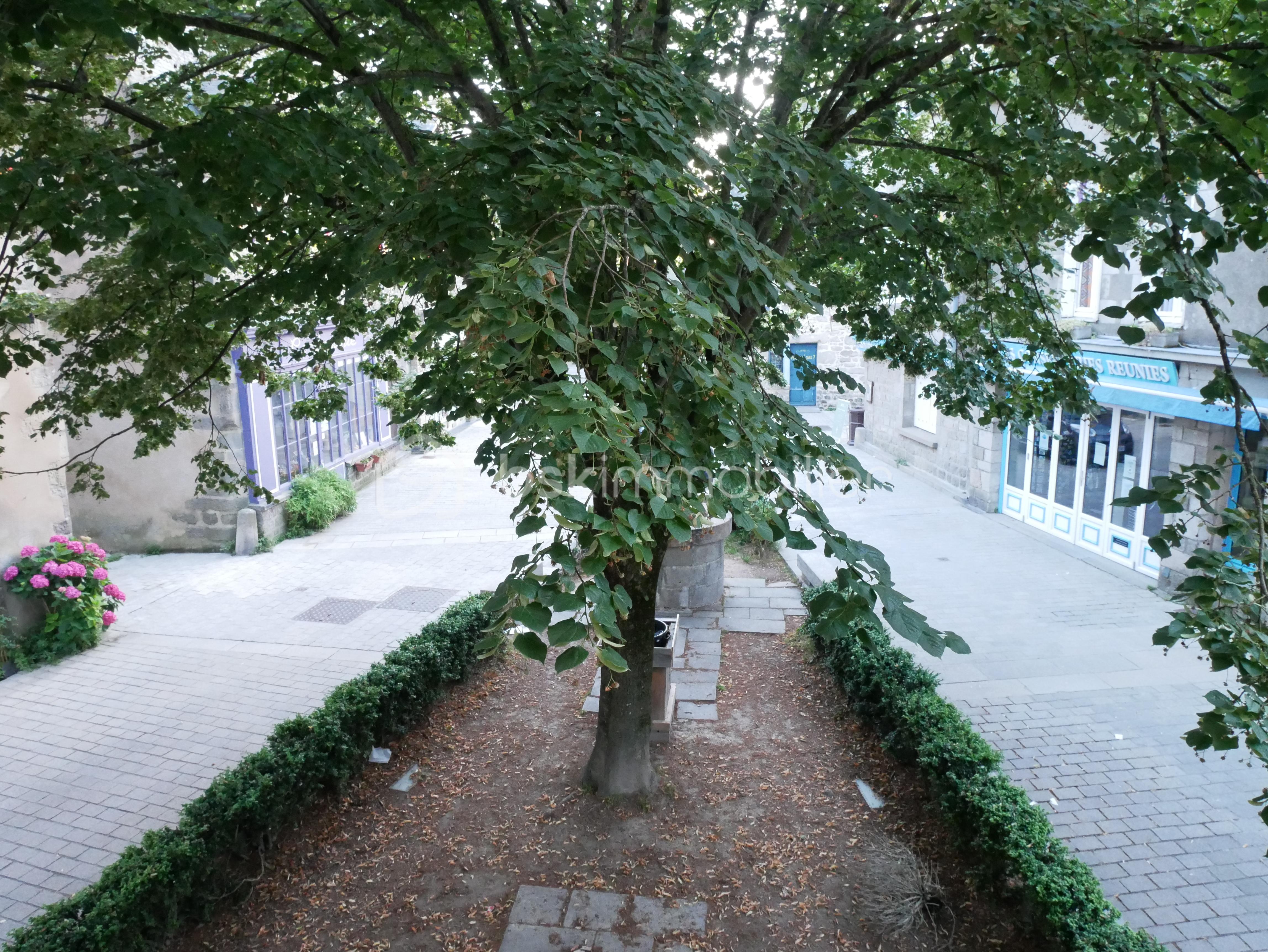 Appartement de 40 m² - IMG_3629.JPG