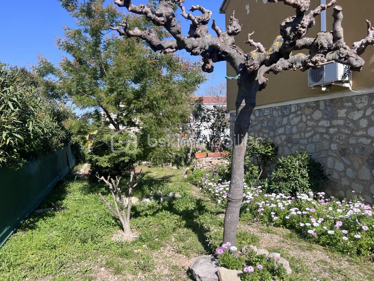 Jardin.jpeg