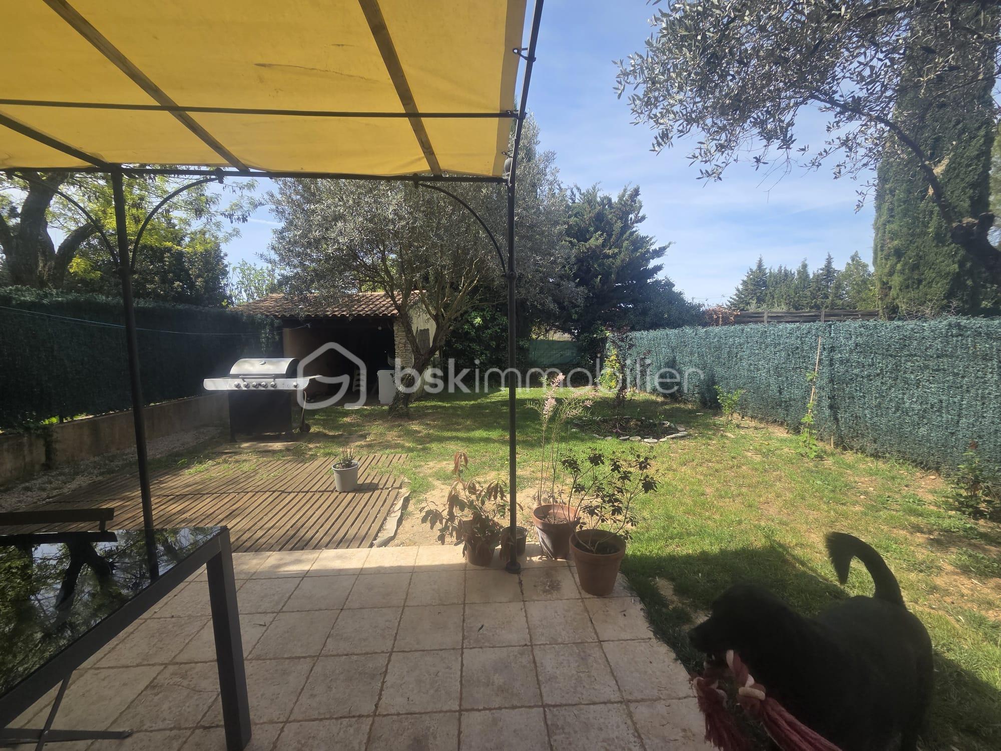 WhatsApp Image 2026-04-25 at 19.46.39.jpeg