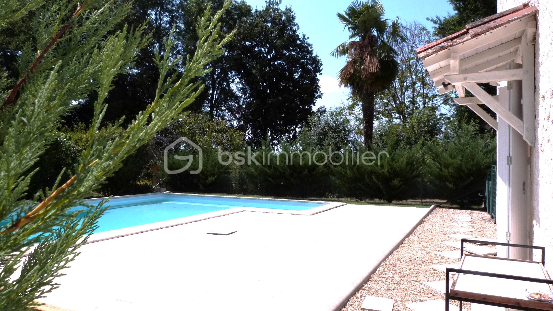 Piscine 4.JPG