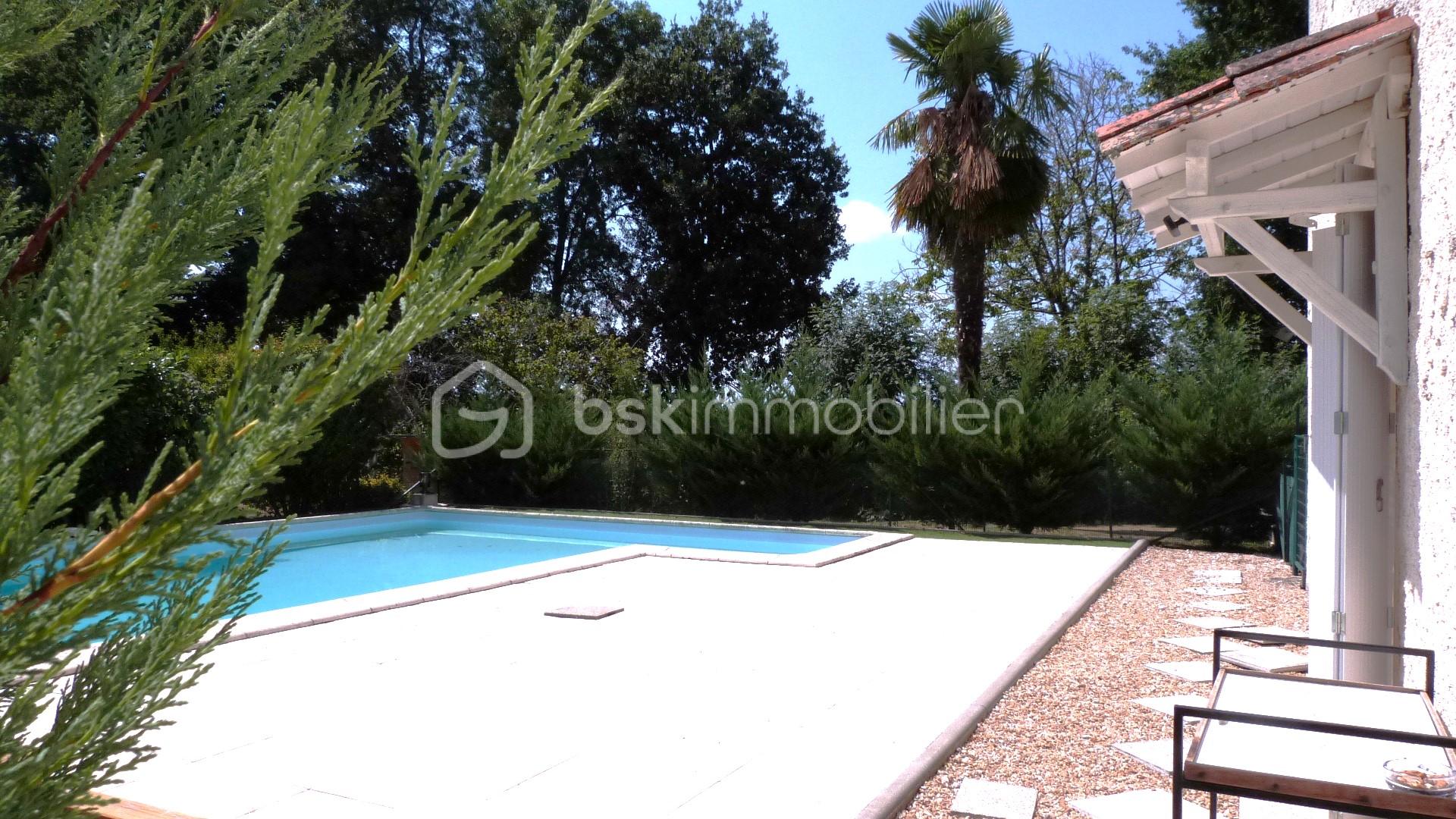 piscine 2.JPG