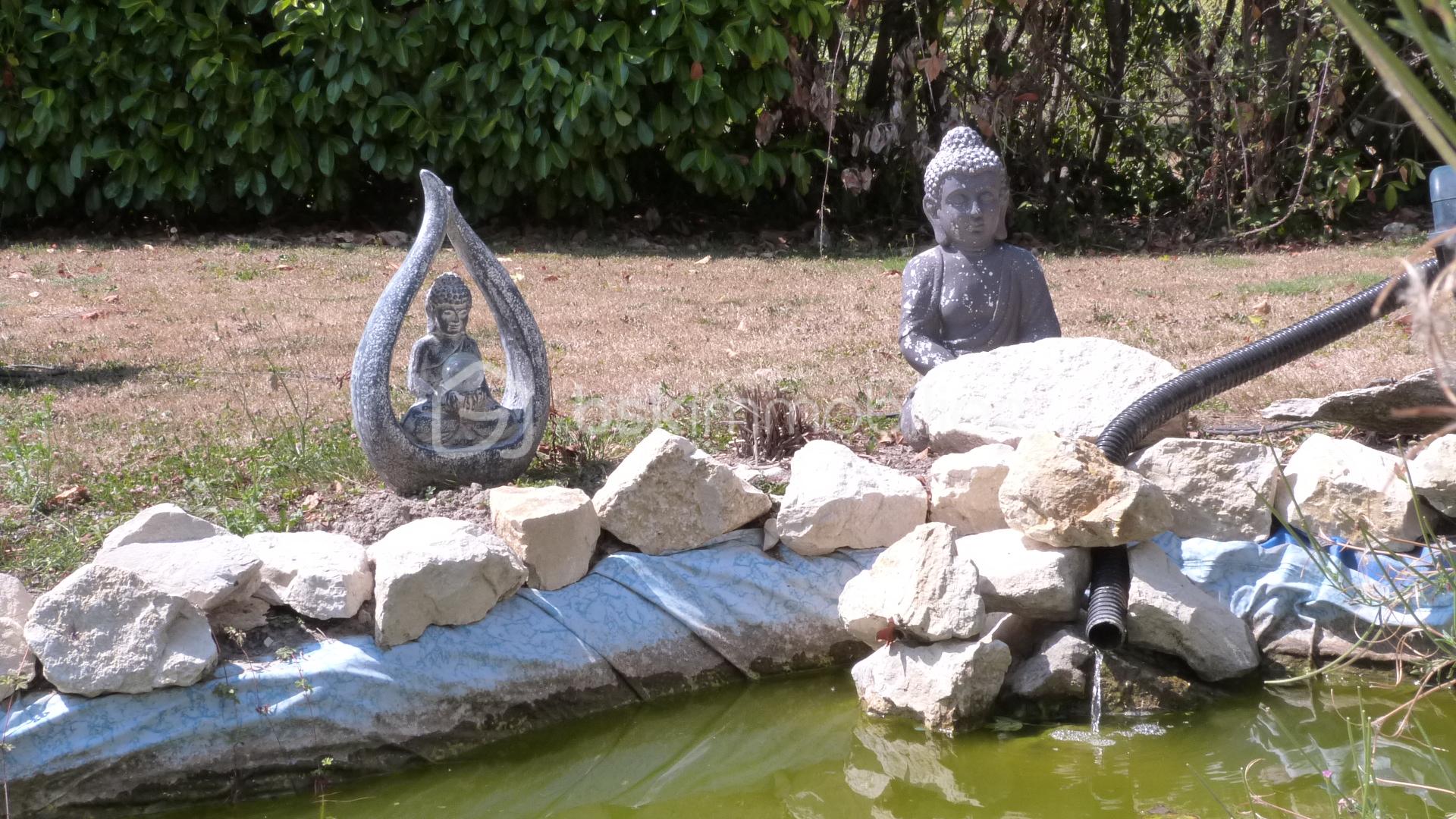 P1050867.JPG