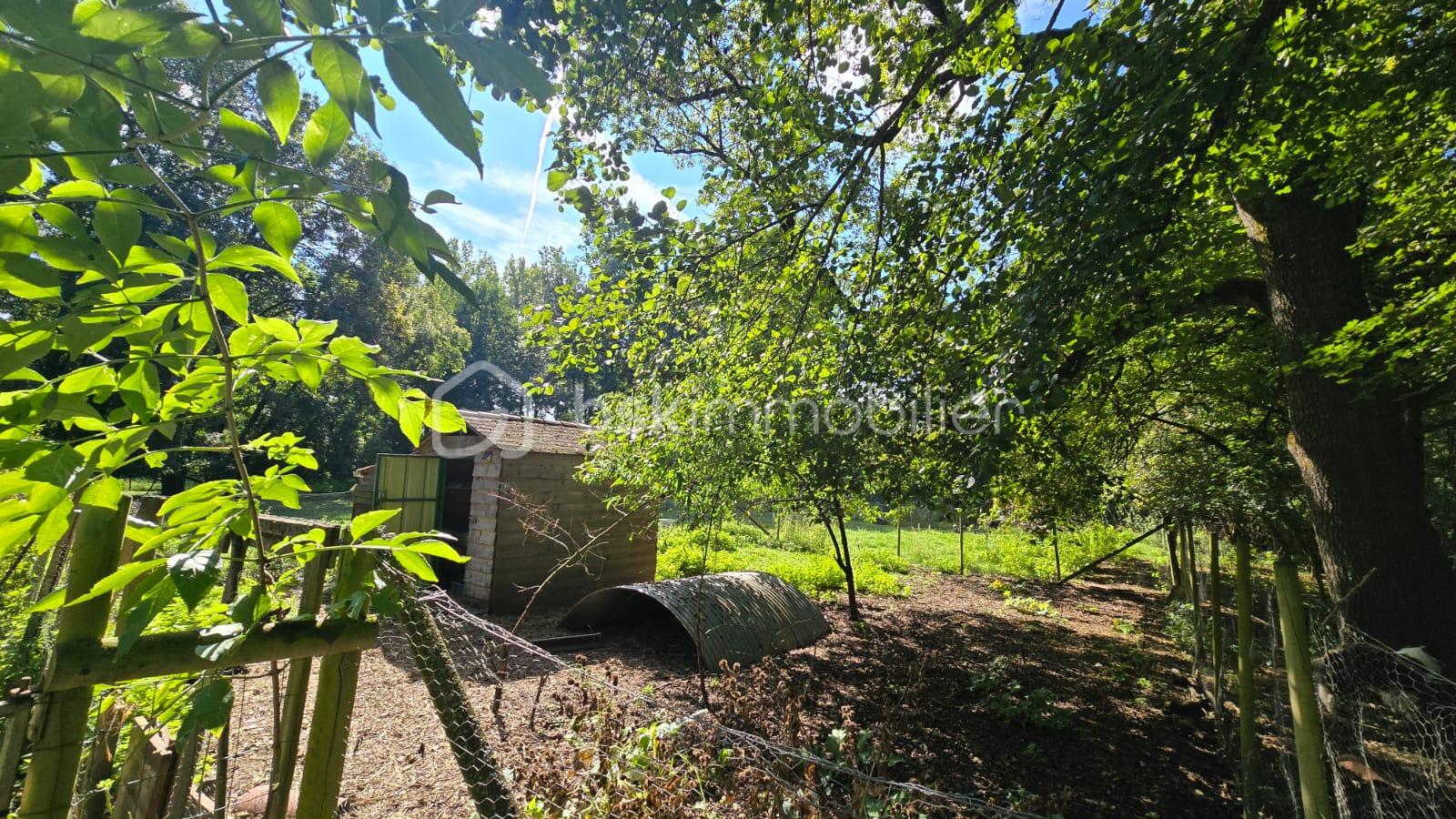 Maison de 530 m² - poulailler.jpg