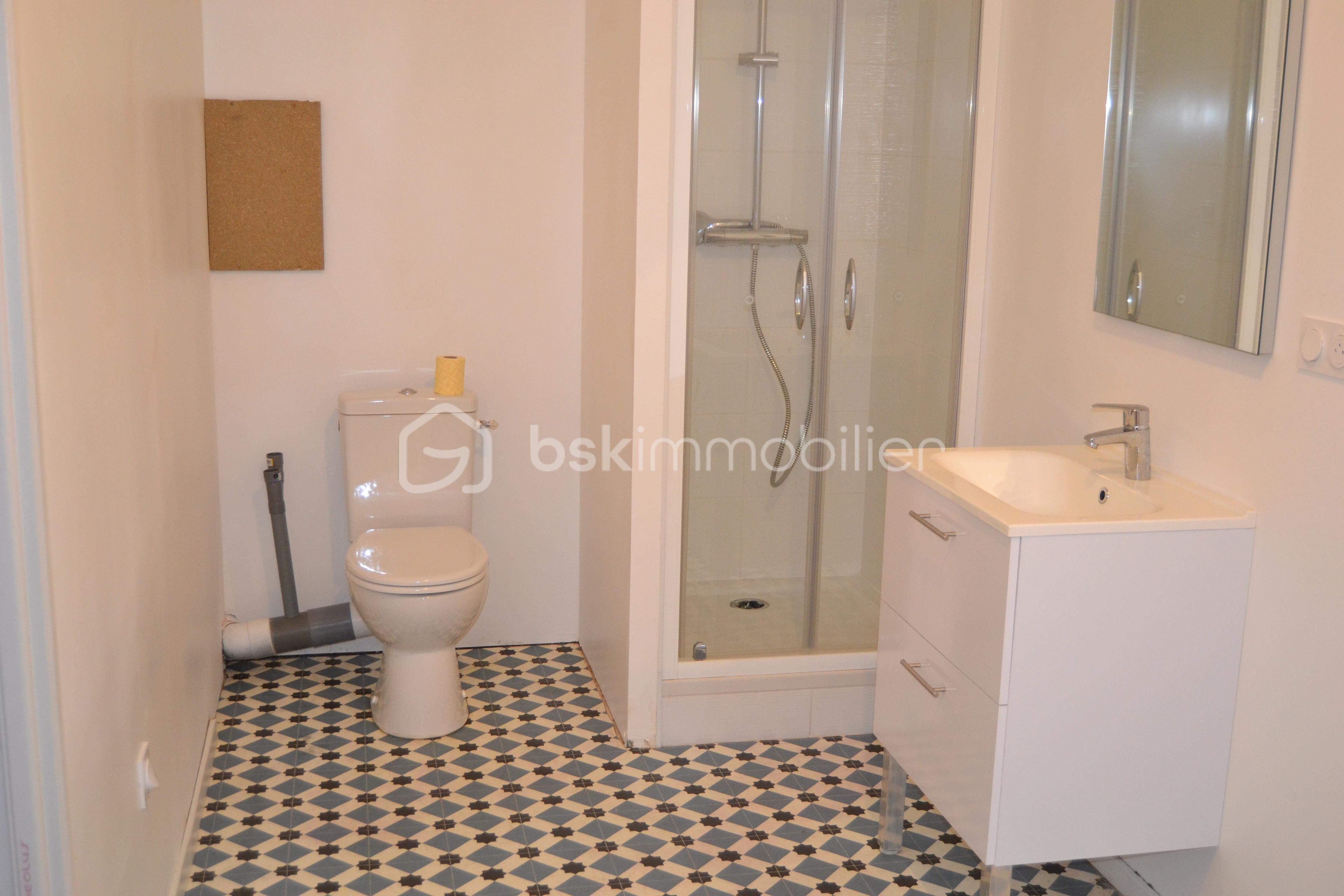 Appartement de 49 m² - SALLE D'EAU 1.JPG