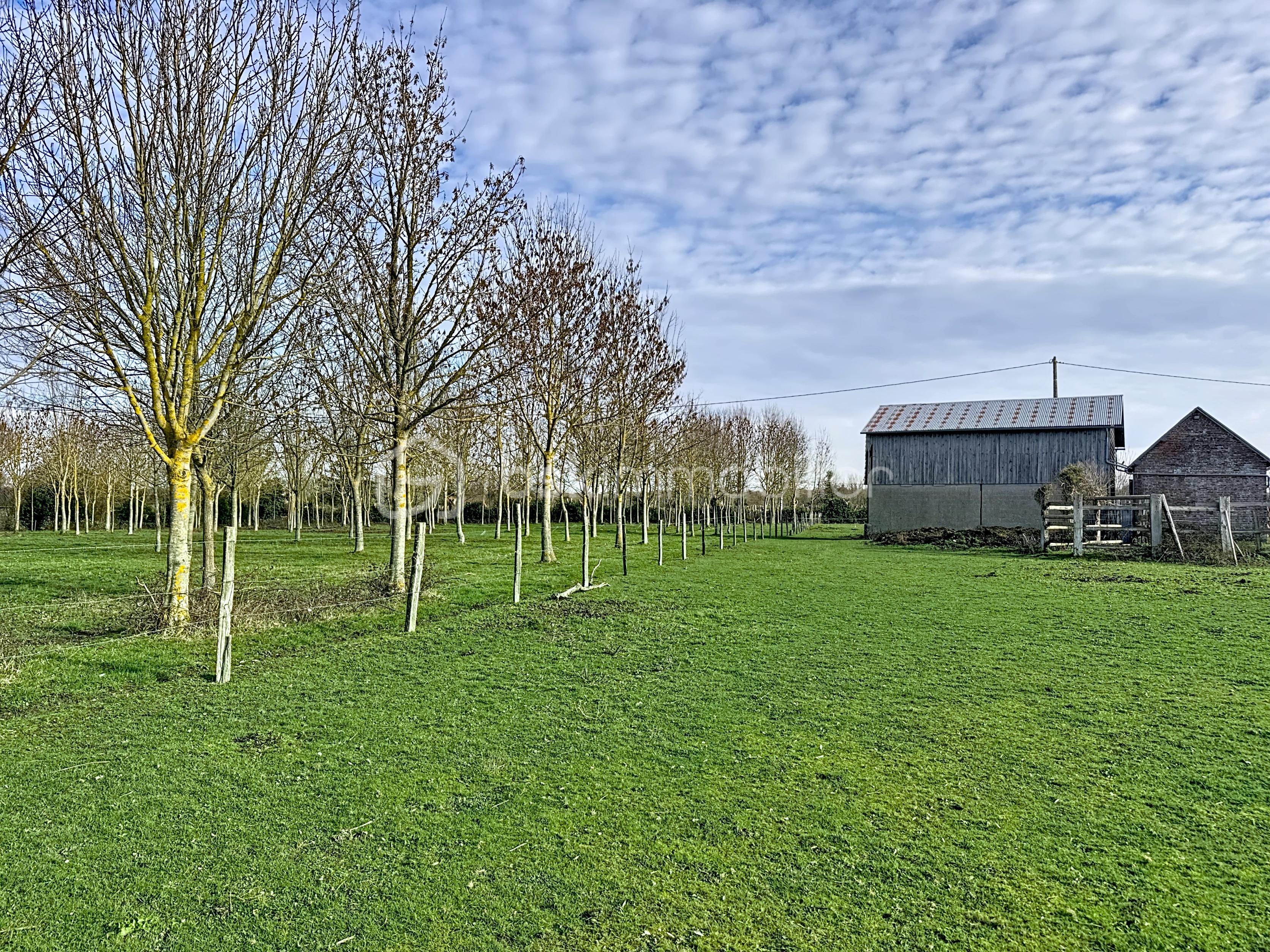 Maison de 164 m² - quenot_00102 (2).jpg