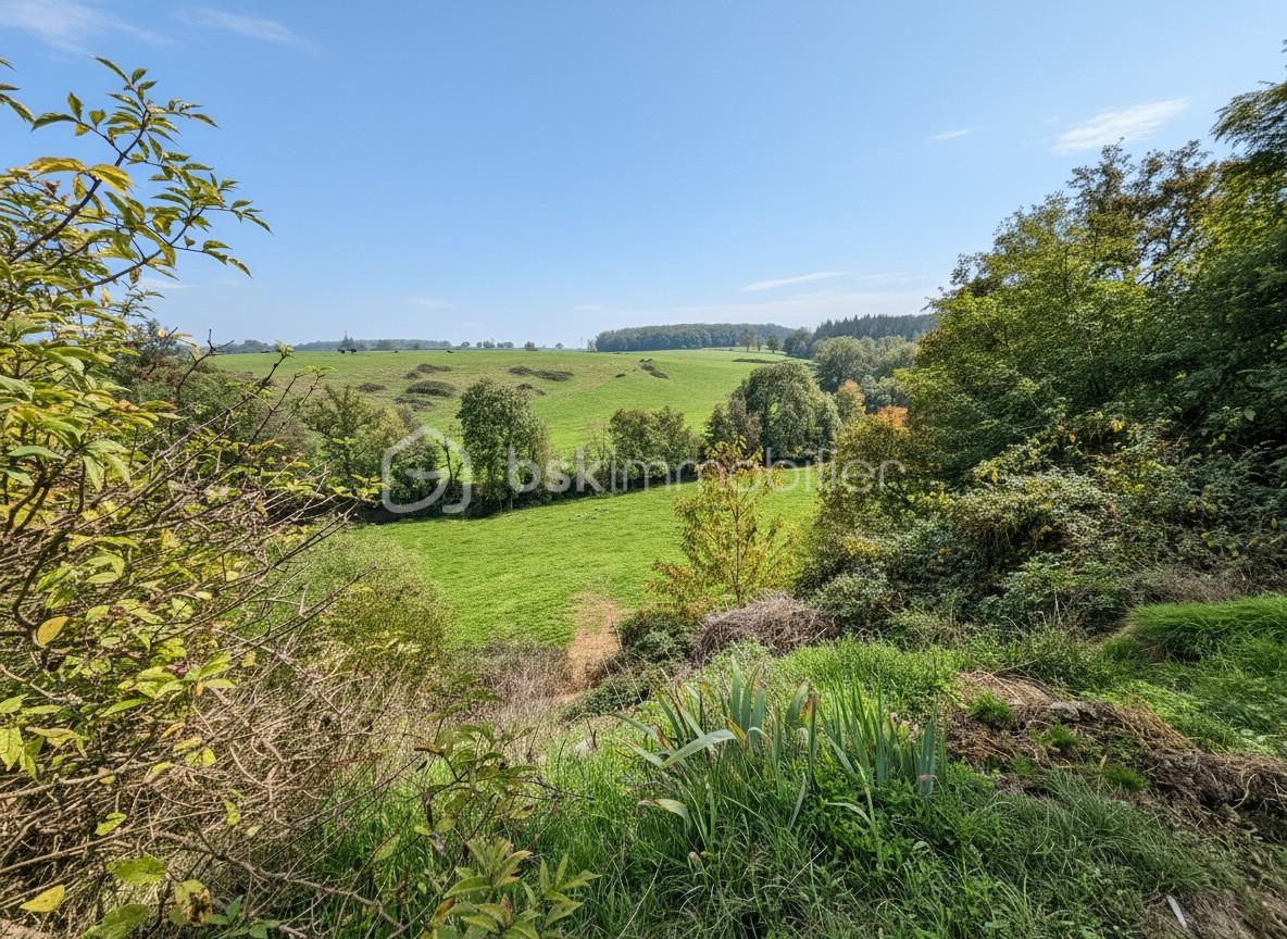 Exploitation agricole de 350 m² - generated_vue.jpg