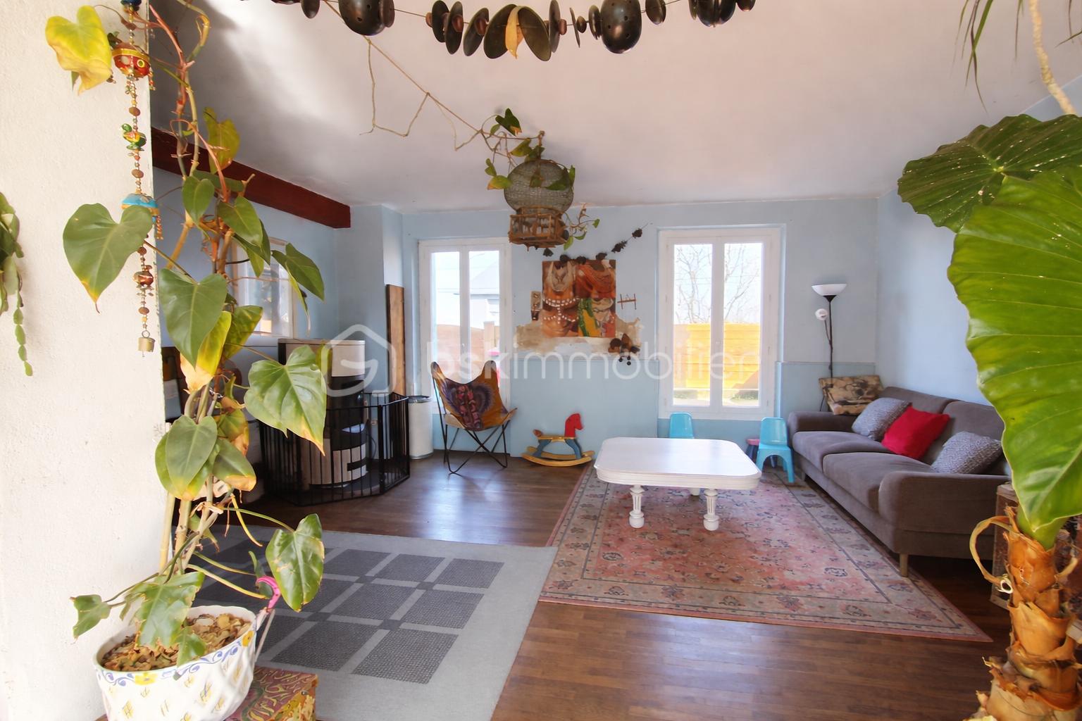 Salon lumineux et accueillant avec plante.png